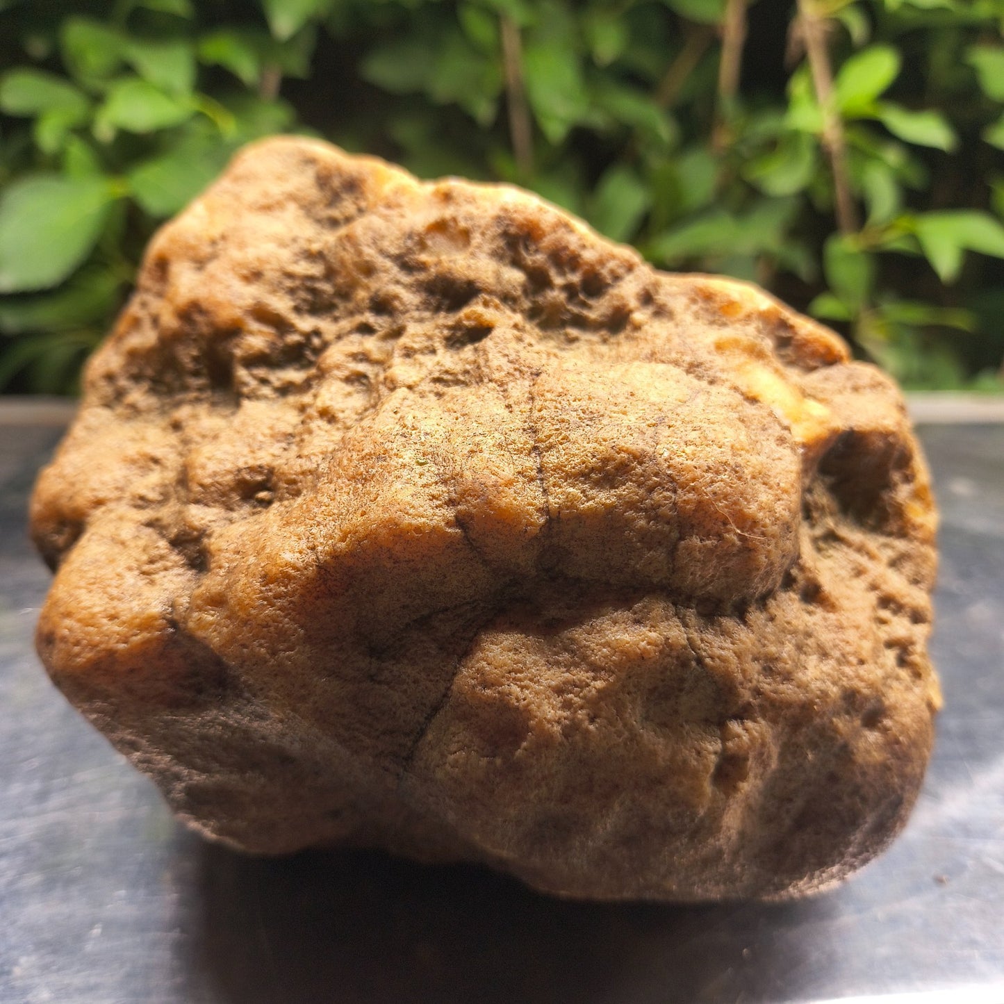 Kentucky Crystal Geode, Natural Druzy Quartz Geode, 4.53 lb Educational Specimen – Fishing Creek, KY