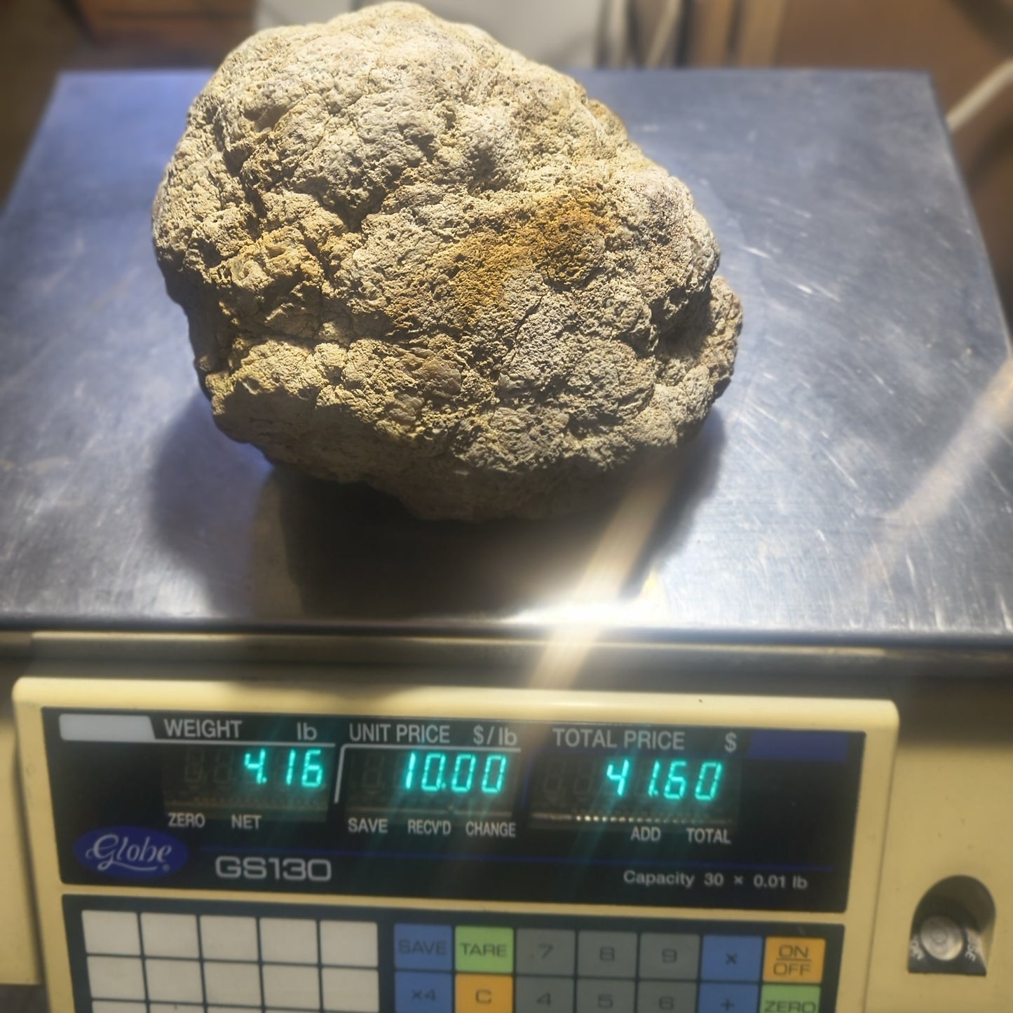 Exact Kentucky Geode Rattler, 7 Inch Hollow Crystal Specimen, Unopened 17 Inch Circ – Fishing Creek, KY
