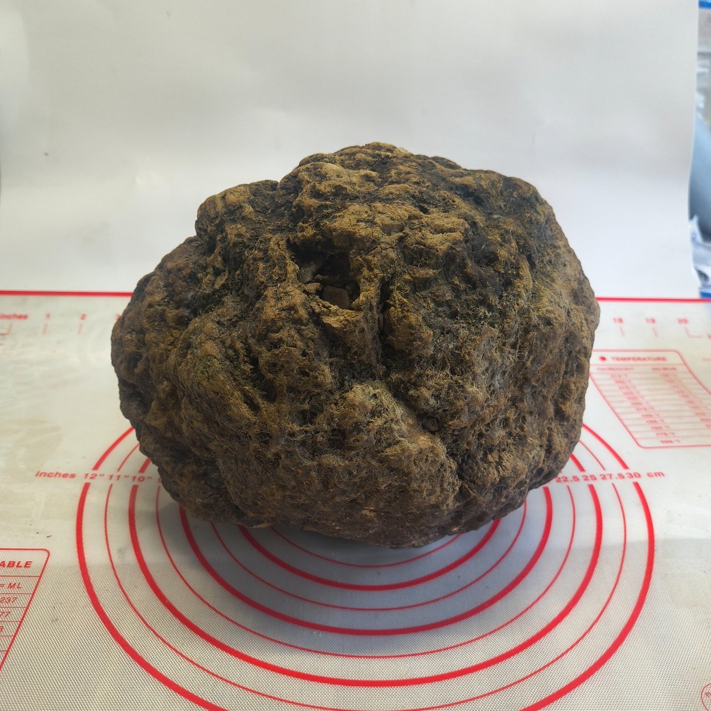 20.6 lb Unopened Kentucky Geode, Break Your Own Large Quartz Crystal, Hand Picked – Fishing Creek, KY