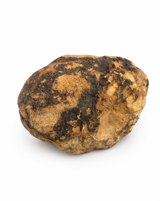 9.12 lb Unopened Kentucky Geode, Break Your Own, Hand Picked KY Lincoln Co – Fishing Creek, KY