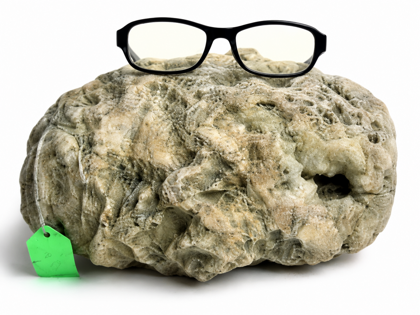 20 lb Kentucky Geode, Exact Unopened Natural Quartz Crystal, Crack Your Own – Fishing Creek, KY