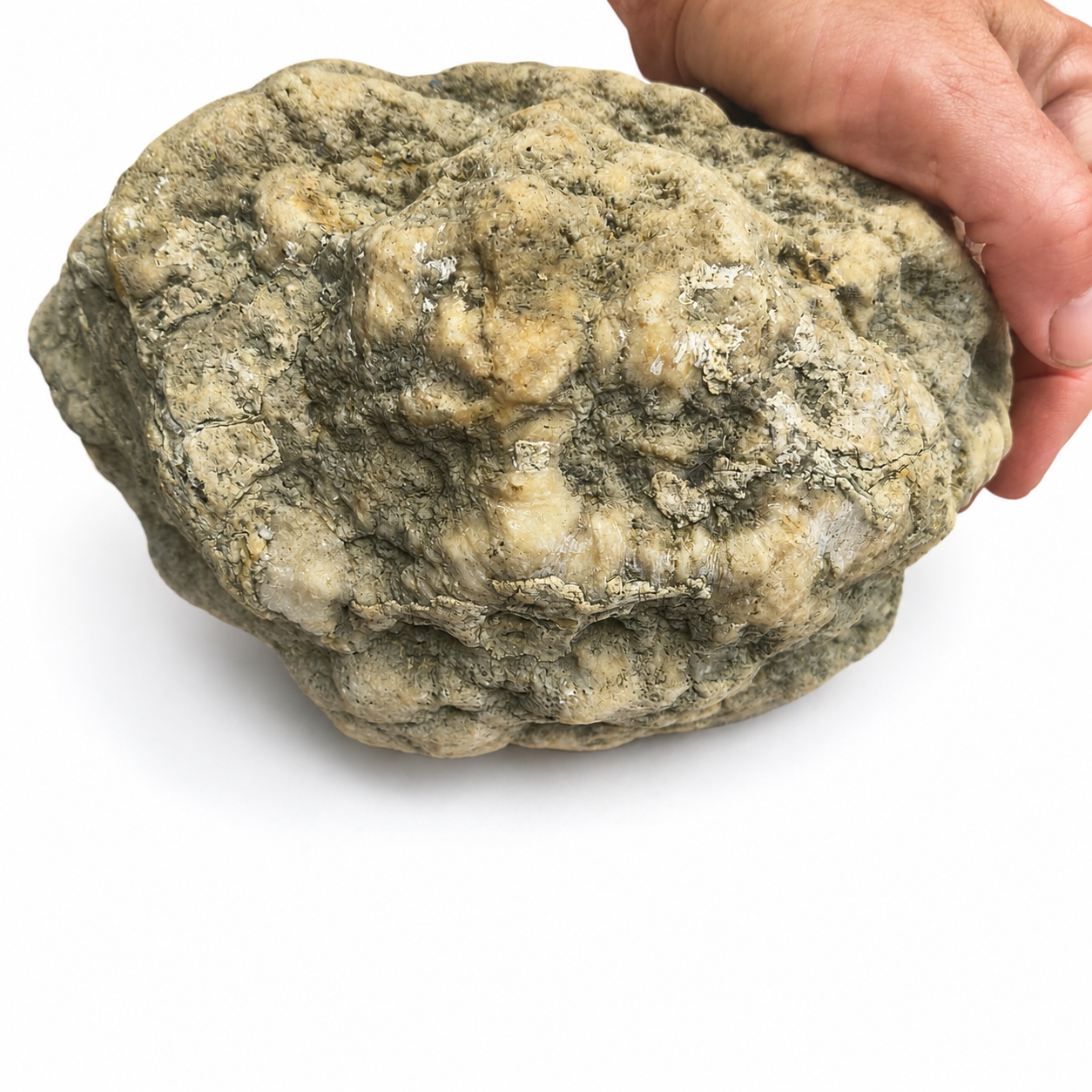 Kentucky Geode, Unopened Natural Quartz Crystal, Crack Your Own, 11.71 lb – Fishing Creek, KY