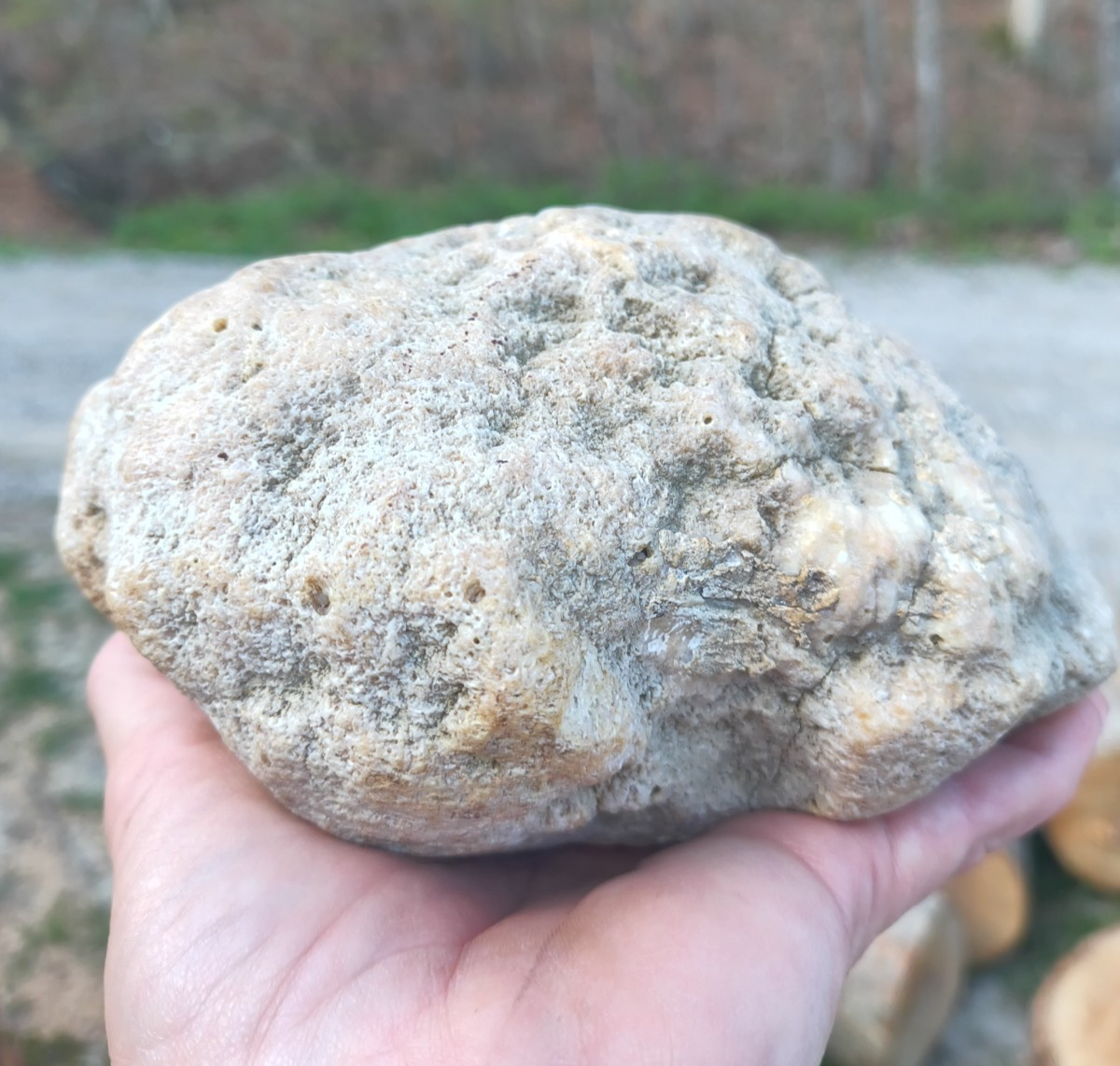 Exact Kentucky Rattler Geode, 4.09 lb Natural Unopened Crystal Geode – Fishing Creek, KY