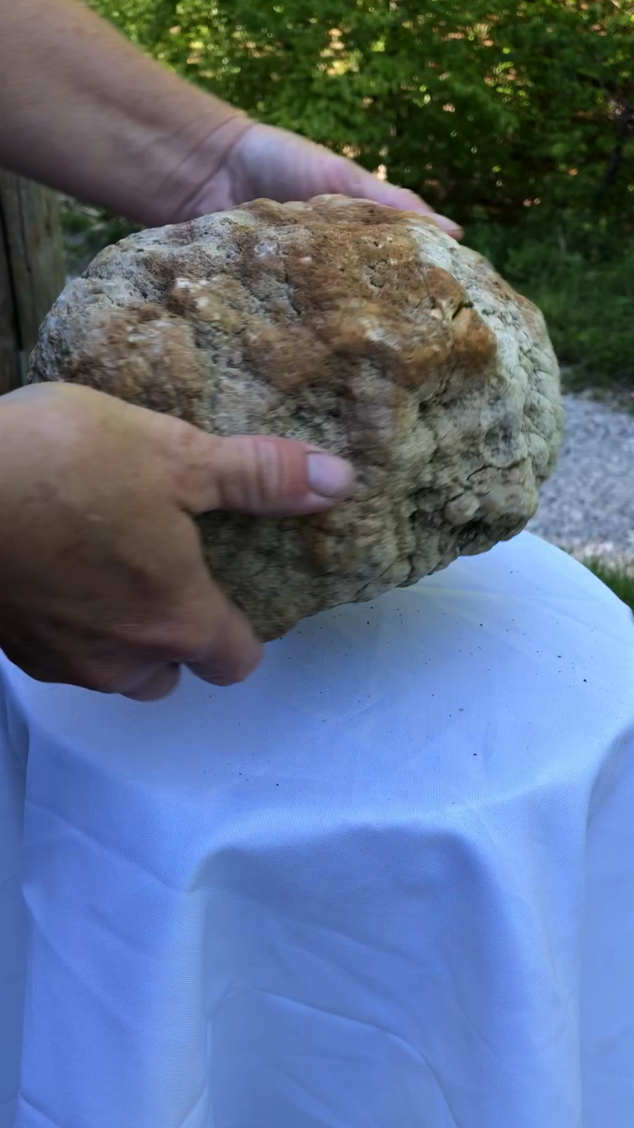 12.32 lb Unopened Kentucky Geode Rattler, Break Your Own, Hand Picked KY, 10 Inch – Fishing Creek, KY