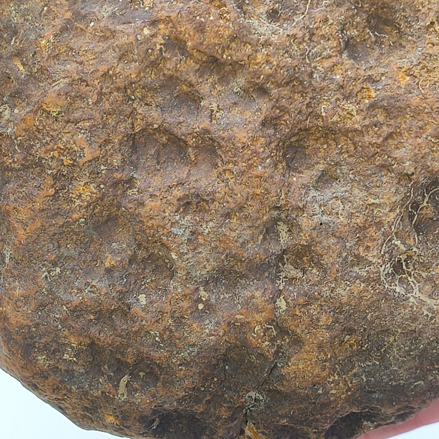 Kentucky Geode, Unopened Natural Quartz Crystal, Crack Your Own, 4lb – Fishing Creek, KY