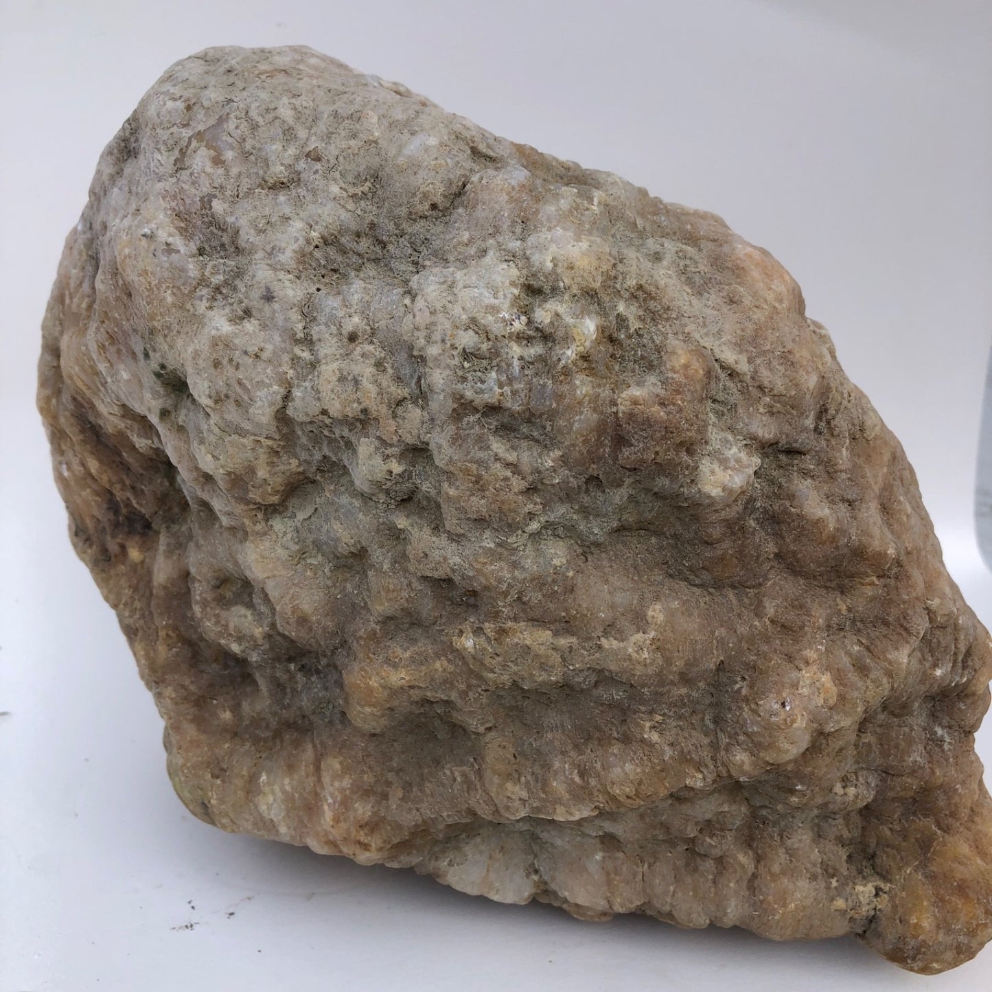 18.44 lb Kentucky Thunder Egg Geode, Lincoln County, Nodular Chalcedony, Uncut – Fishing Creek, KY