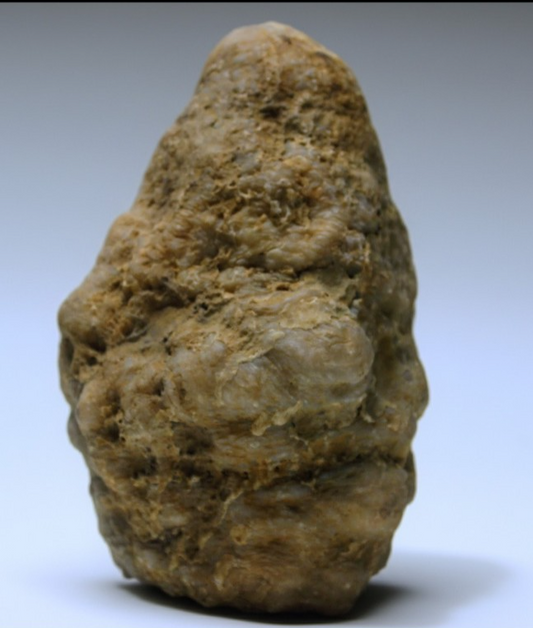 Kentucky Whole Geode, Natural Unopened Crystal Nodule, 7.74 lb, Exact Stone – Fishing Creek, KY