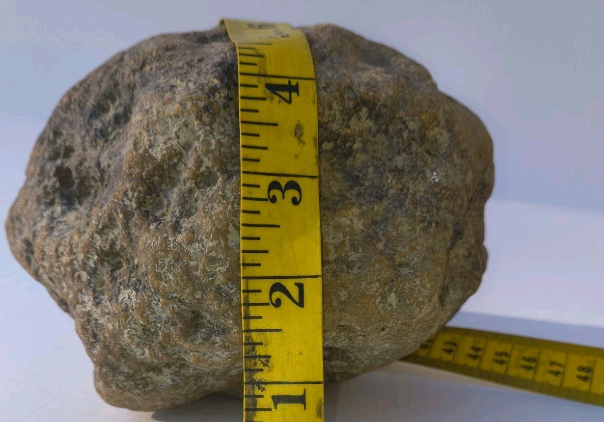 8 lb Whole Unopened Kentucky Geode, Raw Uncut, Break Your Own Crystal Specimen – Fishing Creek, KY