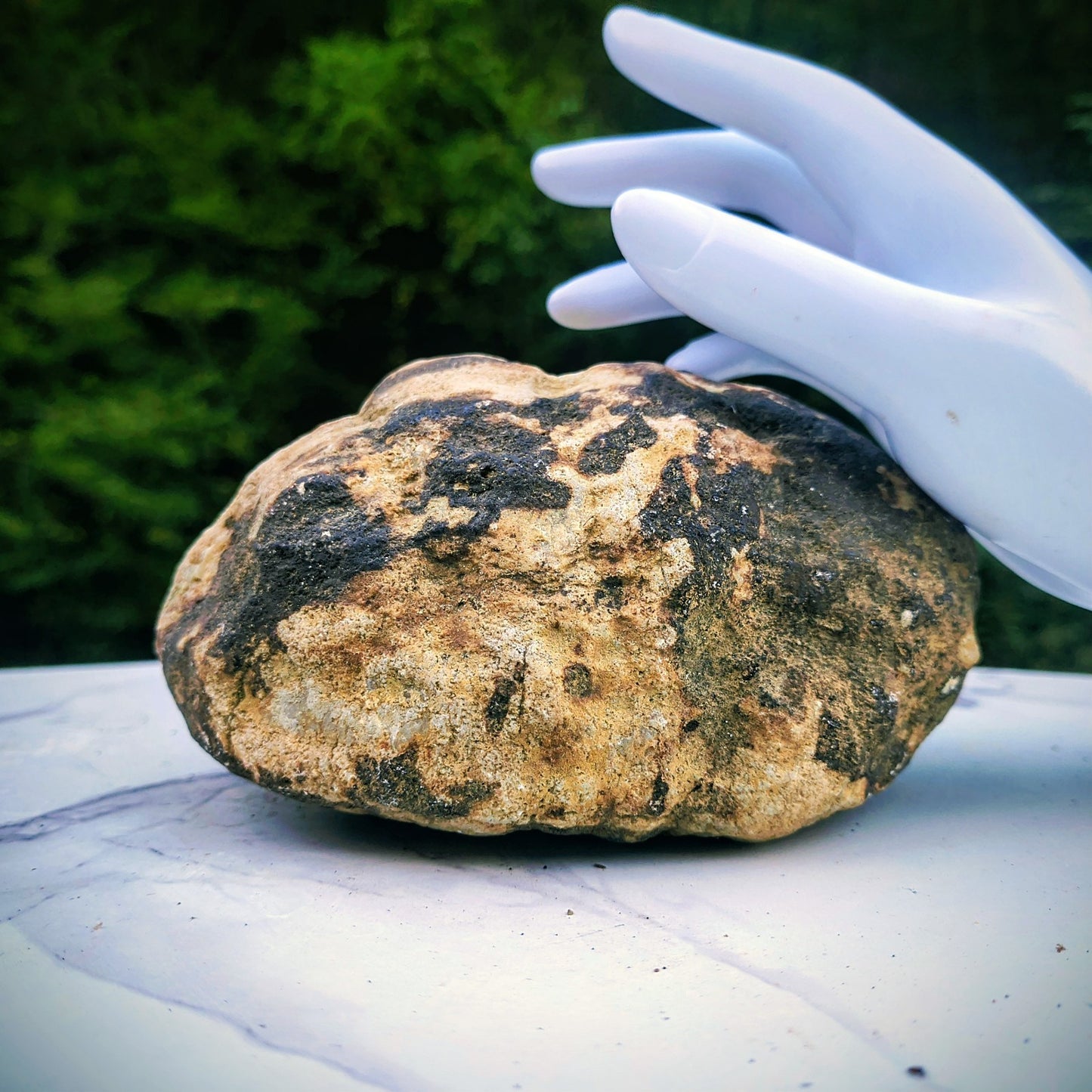 2+ lb Large Unopened Kentucky Geode, 3-5 Inch, Break Your Own Quartz Crystal – Fishing Creek, KY