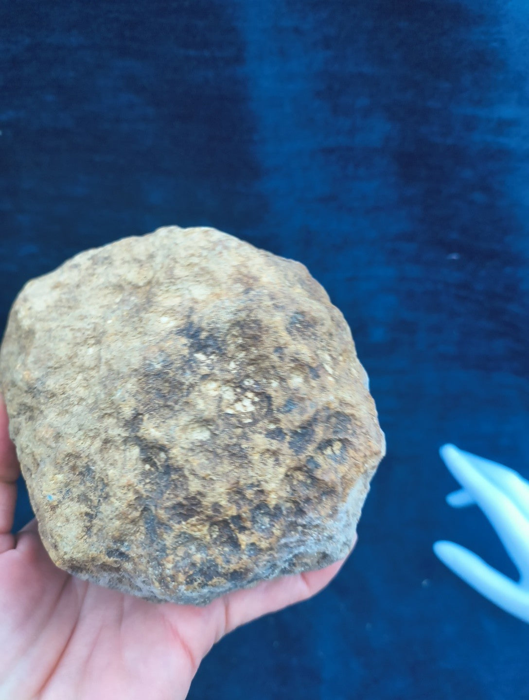 2+ lb Large Unopened Kentucky Geode, 3-5 Inch, Break Your Own Quartz Crystal – Fishing Creek, KY
