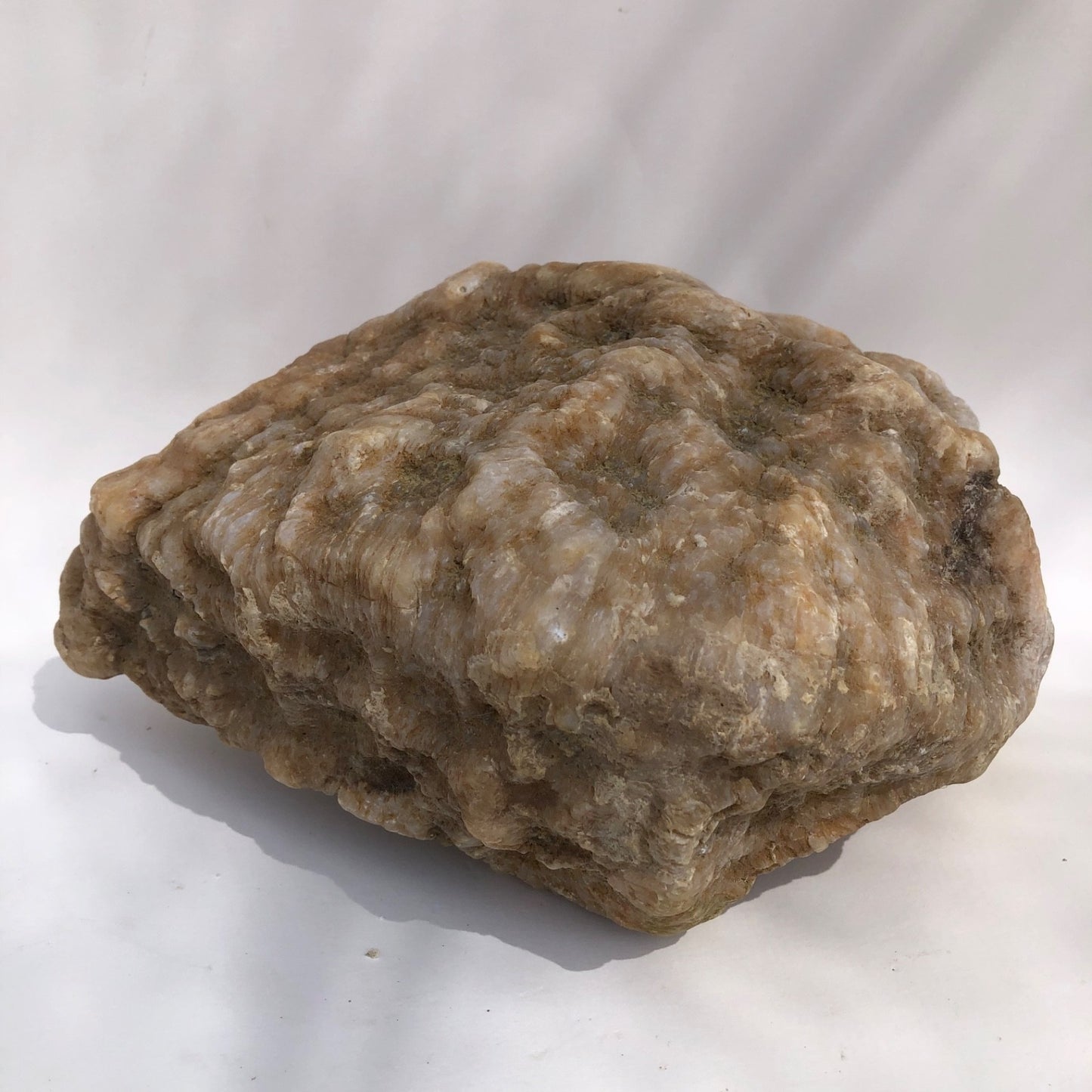 18.44 lb Kentucky Thunder Egg Geode, Lincoln County, Nodular Chalcedony, Uncut – Fishing Creek, KY