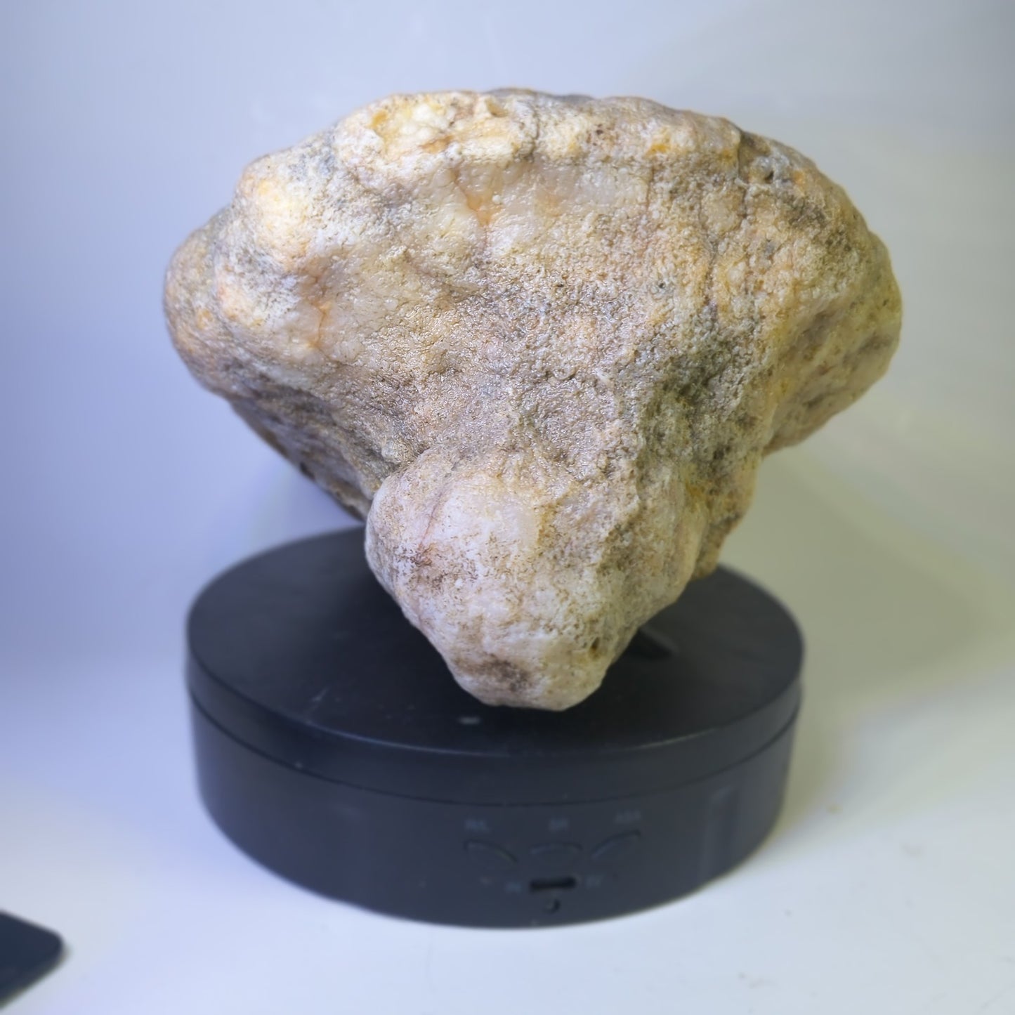 5.81 lb Kentucky Fossil Geode, Horn Coral Crinoid, 7.5 Inch, Hand Picked KY Natural – Fishing Creek, KY