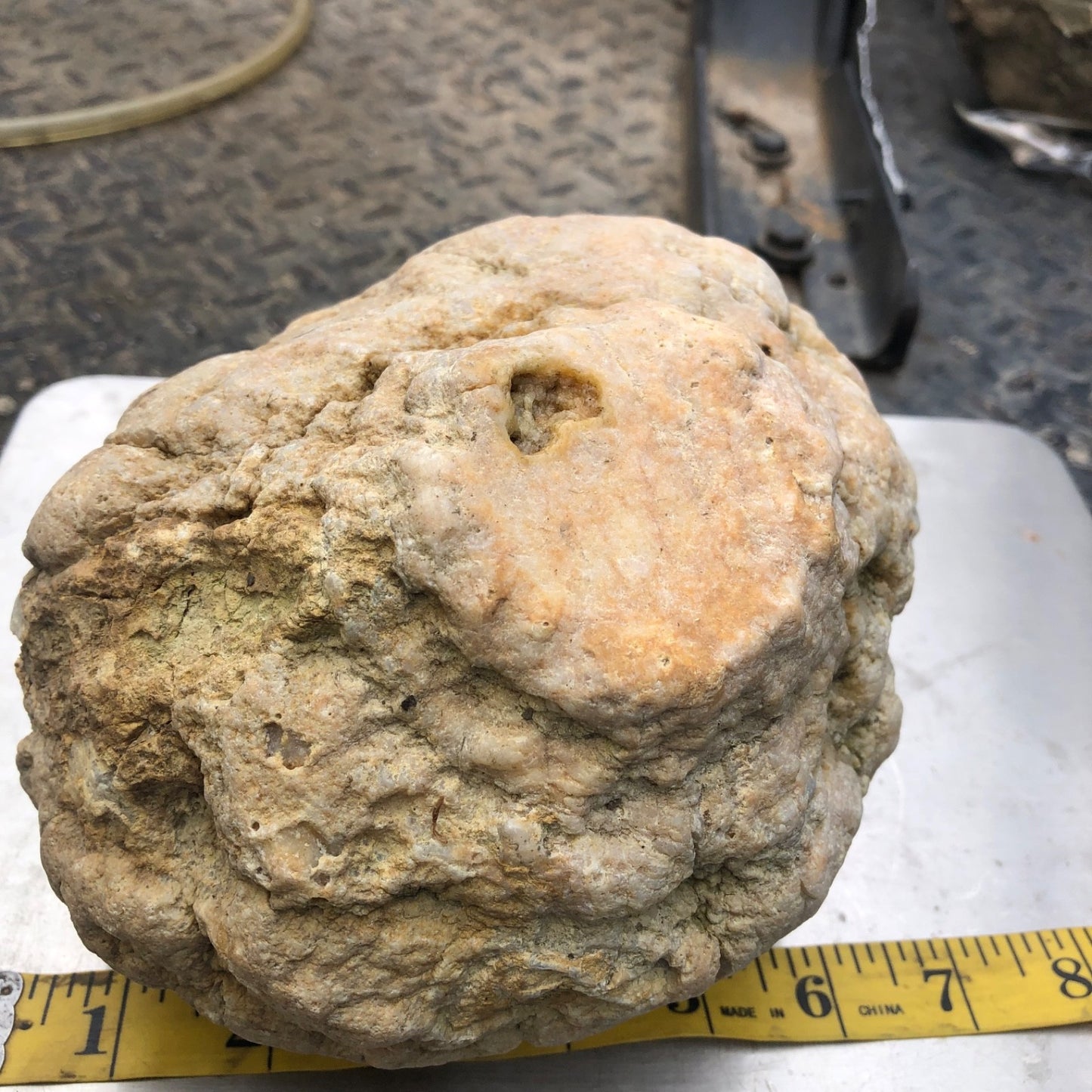 Unopened Kentucky Geode — 7" Wide Large Display Nodule, Crack Your Own