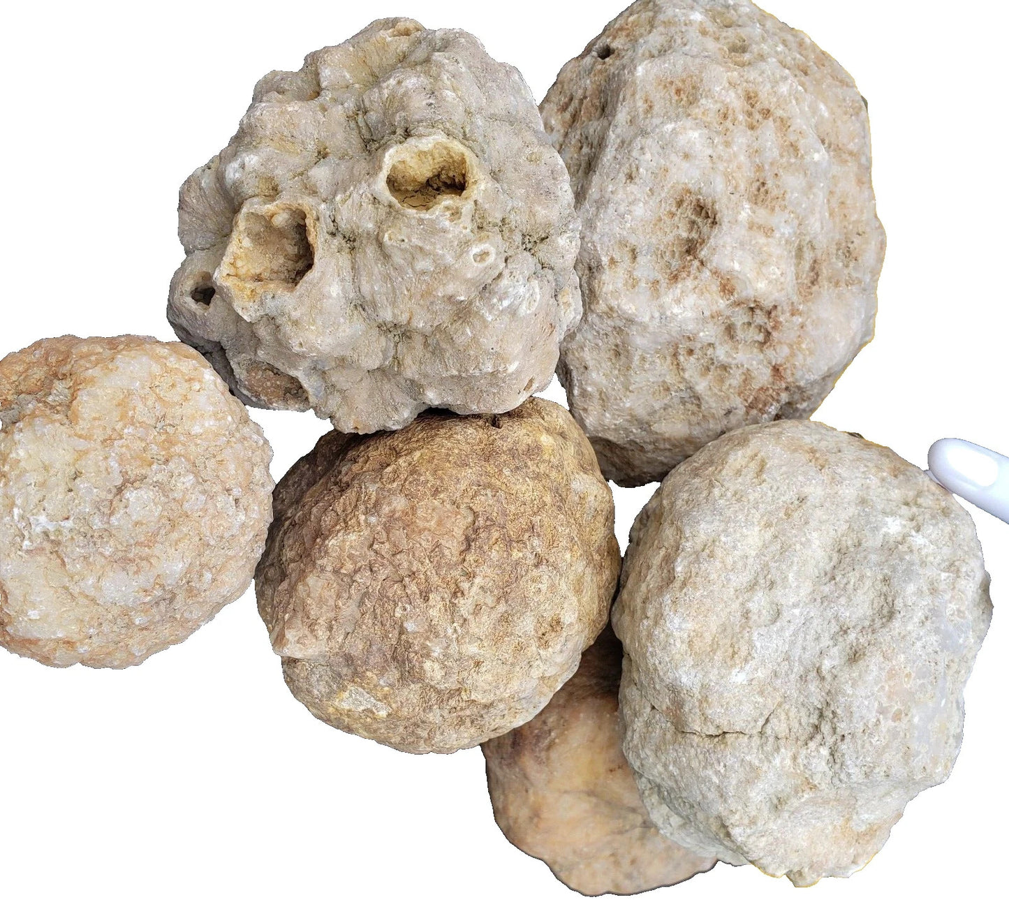 9 lb Kentucky Geode Lot of 14 - Rattler Included - Crack Your Own Crystals