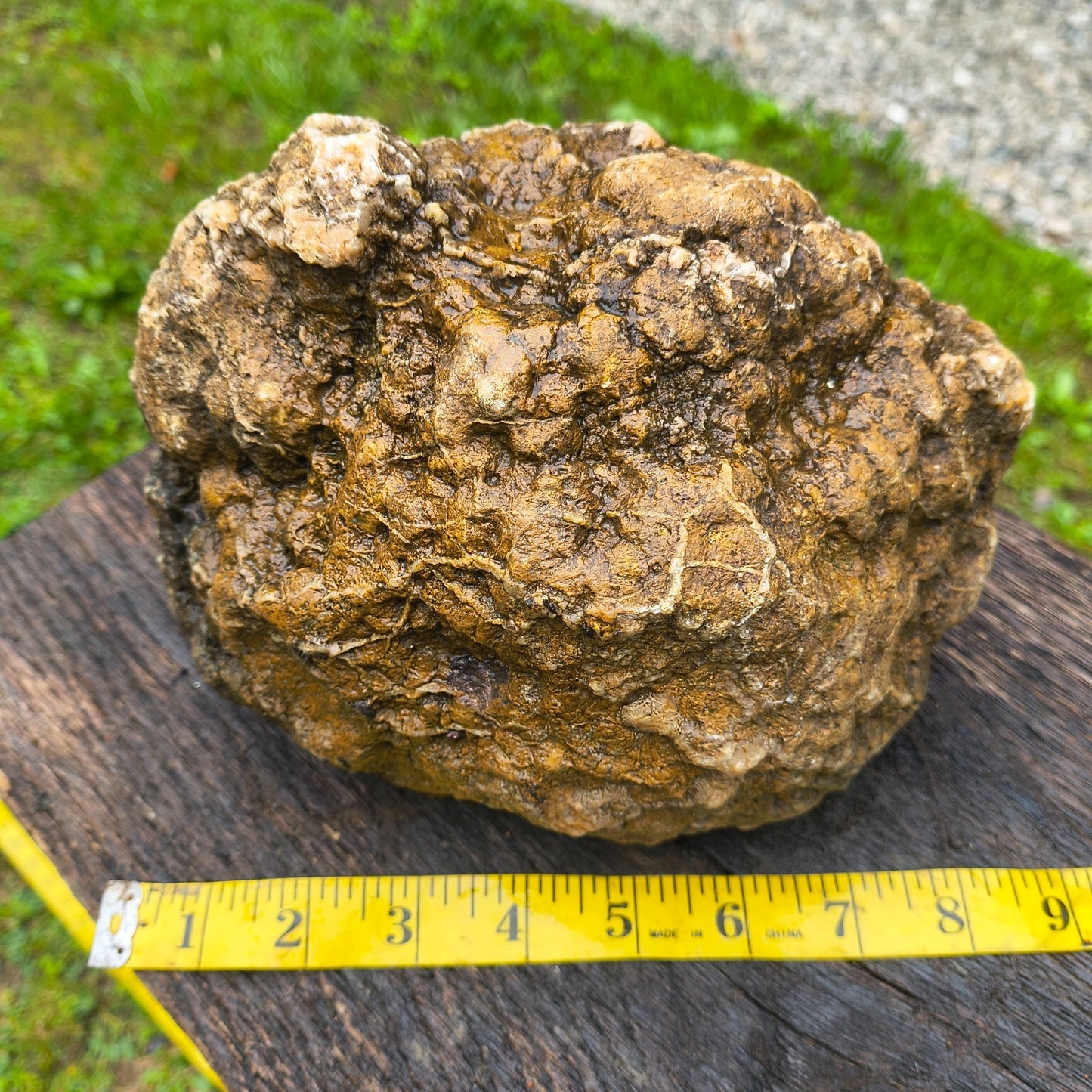 Large Kentucky Geode, Natural Unopened Crystal Geode, Collector Specimen – Fishing Creek, KY
