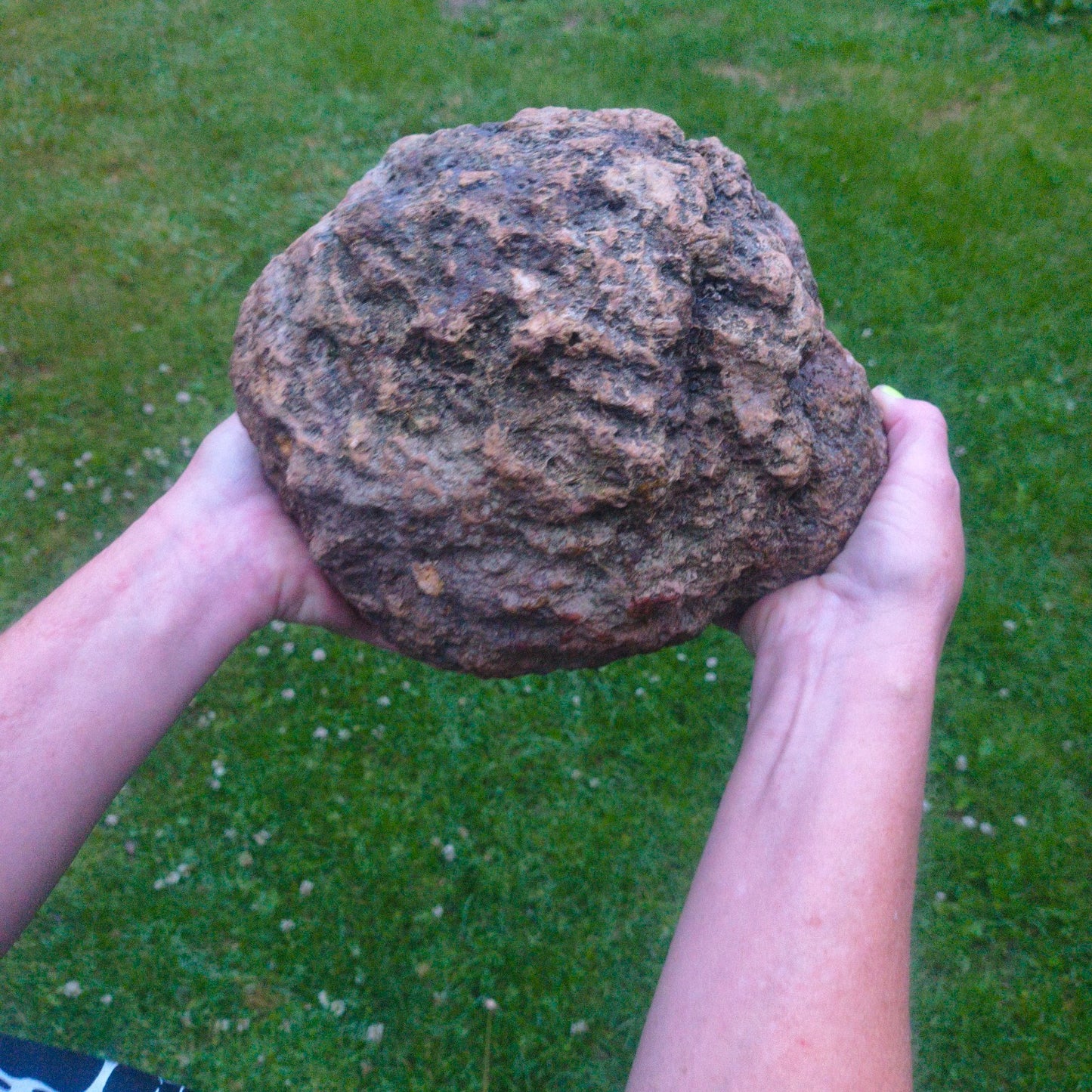 20.6 lb Unopened Kentucky Geode, Break Your Own Large Quartz Crystal, Hand Picked – Fishing Creek, KY