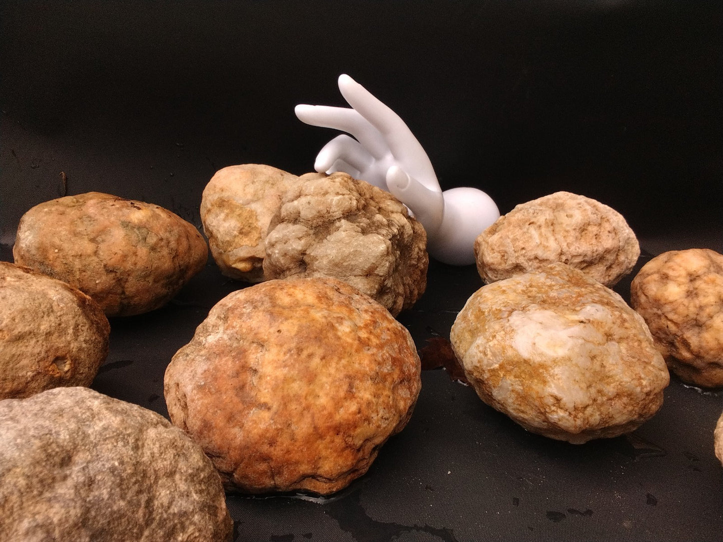 30 lb Lot Unopened Kentucky Geodes, Break Your Own, Bulk Mixed Sizes, Hand Picked – Fishing Creek, KY