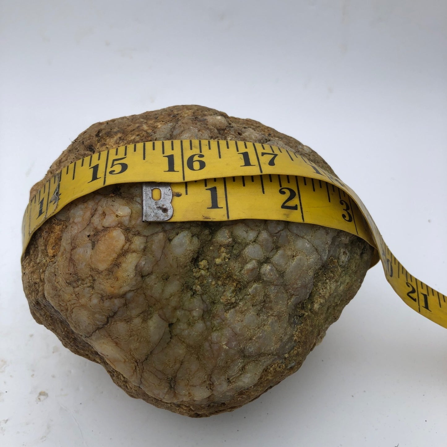 4 lb Unopened Kentucky Geode Rattler, Break Your Own, Hand Picked Natural Quartz – Fishing Creek, KY