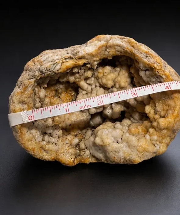 2.1 lb Open Kentucky Geode Half, Rare Botryoidal Crystal Display Specimen – Fishing Creek, KY