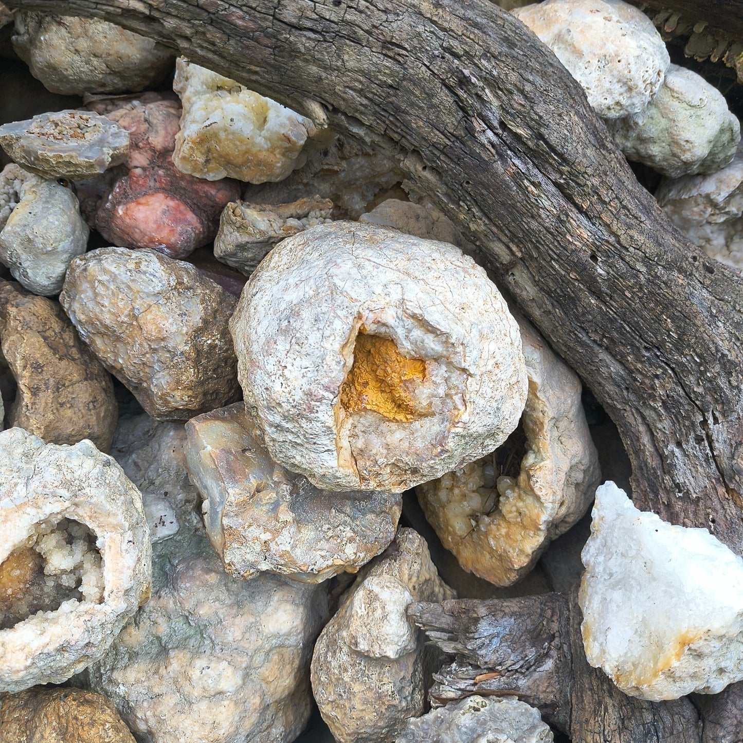 Kentucky Geode Crystal Opening, Natural Rock Specimen, Real Kentucky Geode – Fishing Creek, KY