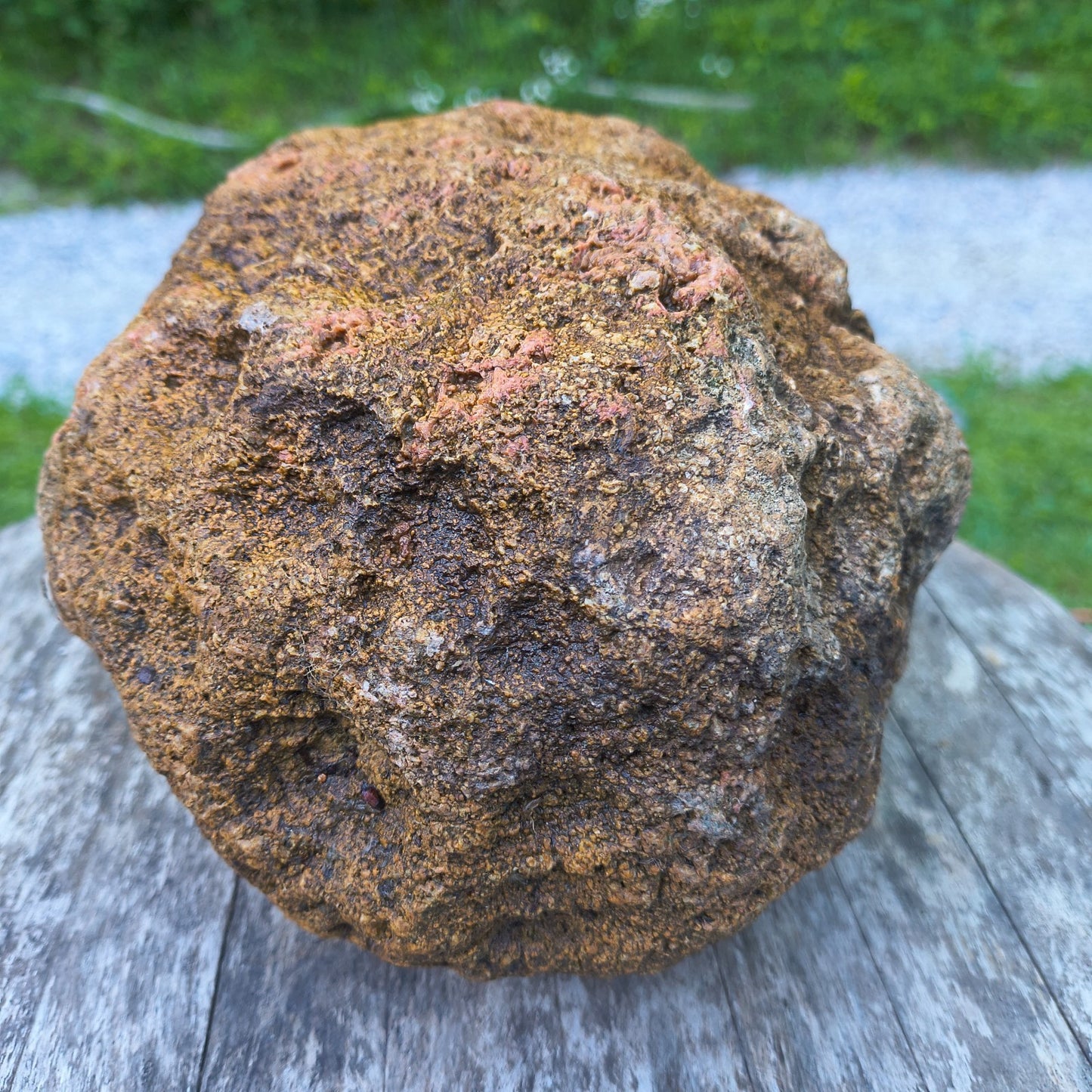 10.13 lb Kentucky Geode, Unopened, Natural Crystal Geode + Bonus – Hand-Collected at Fishing Creek, KY