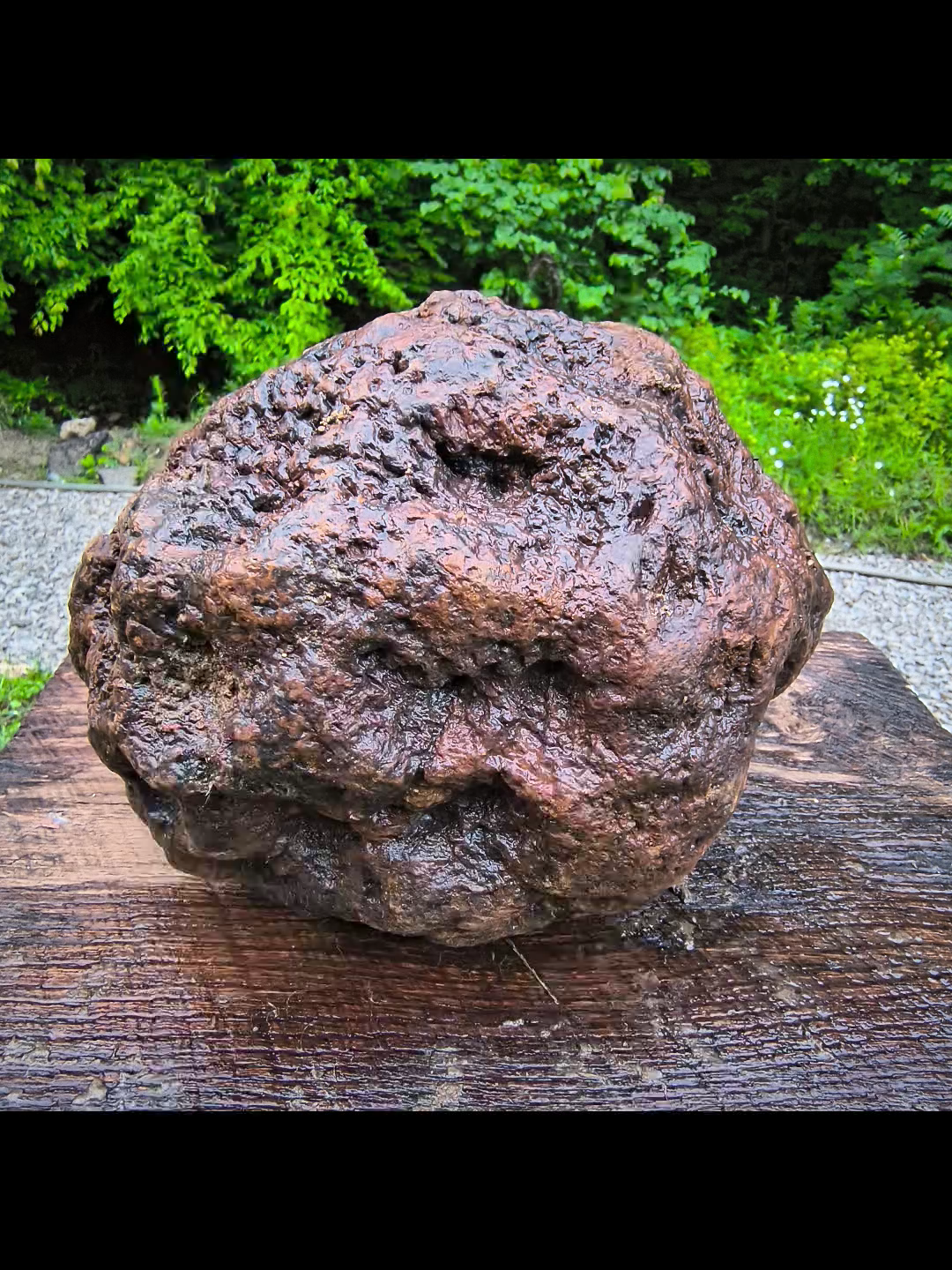 HUGE 16.67 lb Kentucky Geode, 24 Inch Circumference, Uncracked Potential Hollow Rock – Hand-Collected at Fishing Creek, KY