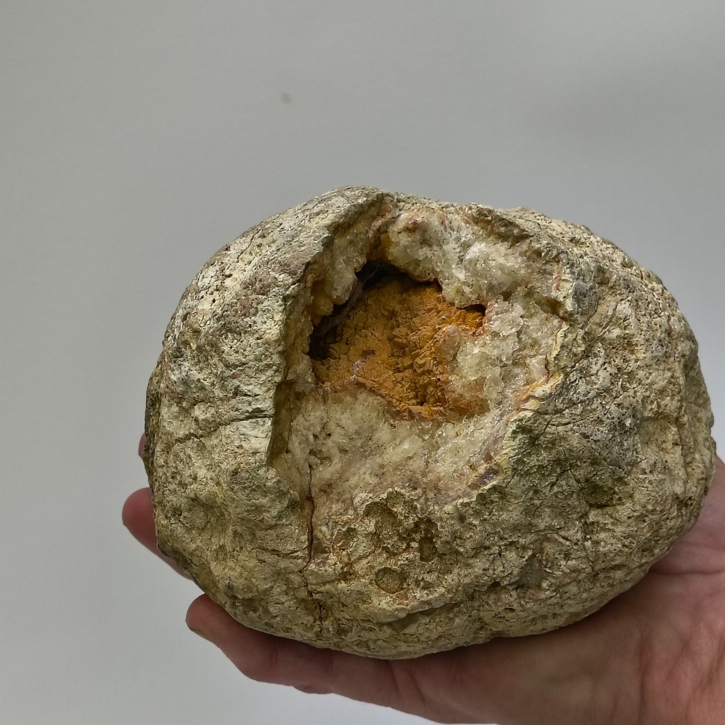 Kentucky Geode Crystal Opening, Natural Rock Specimen, Real Kentucky Geode – Fishing Creek, KY