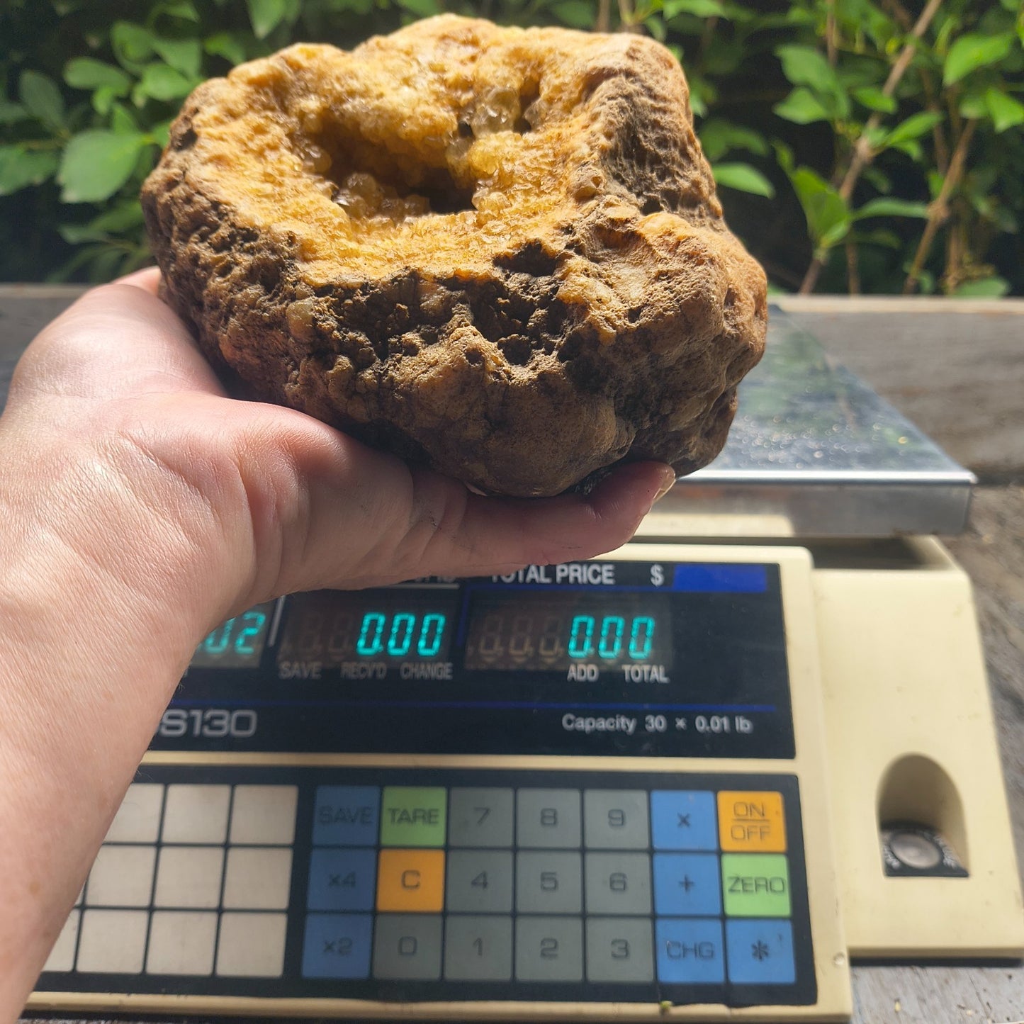 Kentucky Crystal Geode, Natural Druzy Quartz Geode, 4.53 lb Educational Specimen – Fishing Creek, KY