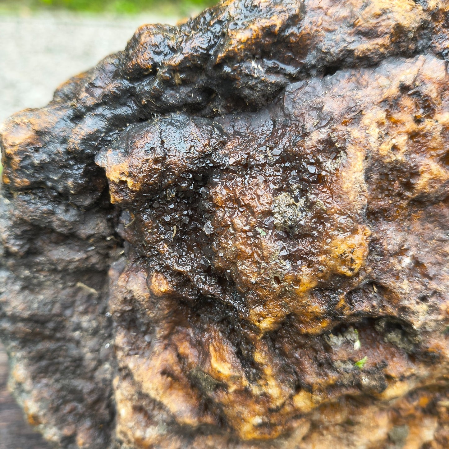 Large Kentucky Geode, Natural Unopened Crystal Geode, Collector Specimen – Fishing Creek, KY