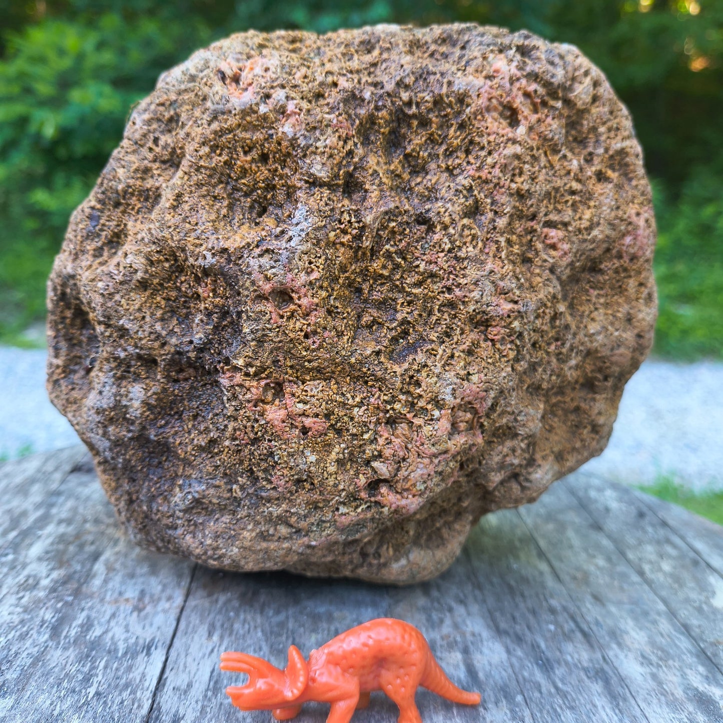 10.13 lb Kentucky Geode, Unopened, Natural Crystal Geode + Bonus – Hand-Collected at Fishing Creek, KY