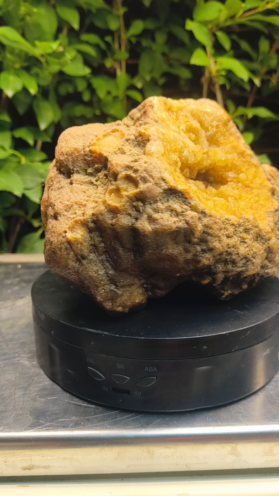 Kentucky Crystal Geode, Natural Druzy Quartz Geode, 4.53 lb Educational Specimen – Fishing Creek, KY