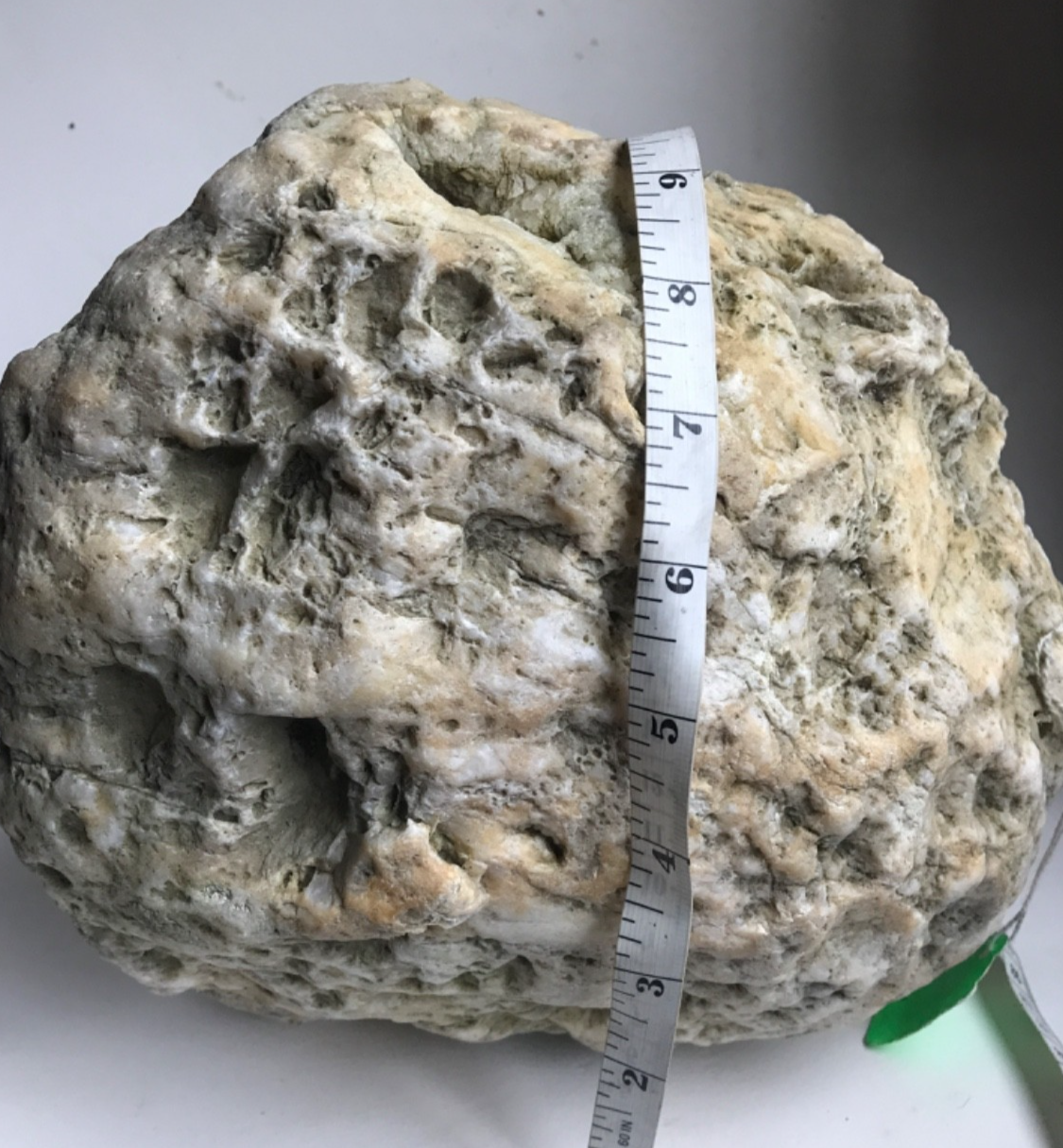 20 lb Kentucky Geode, Exact Unopened Natural Quartz Crystal, Crack Your Own – Fishing Creek, KY