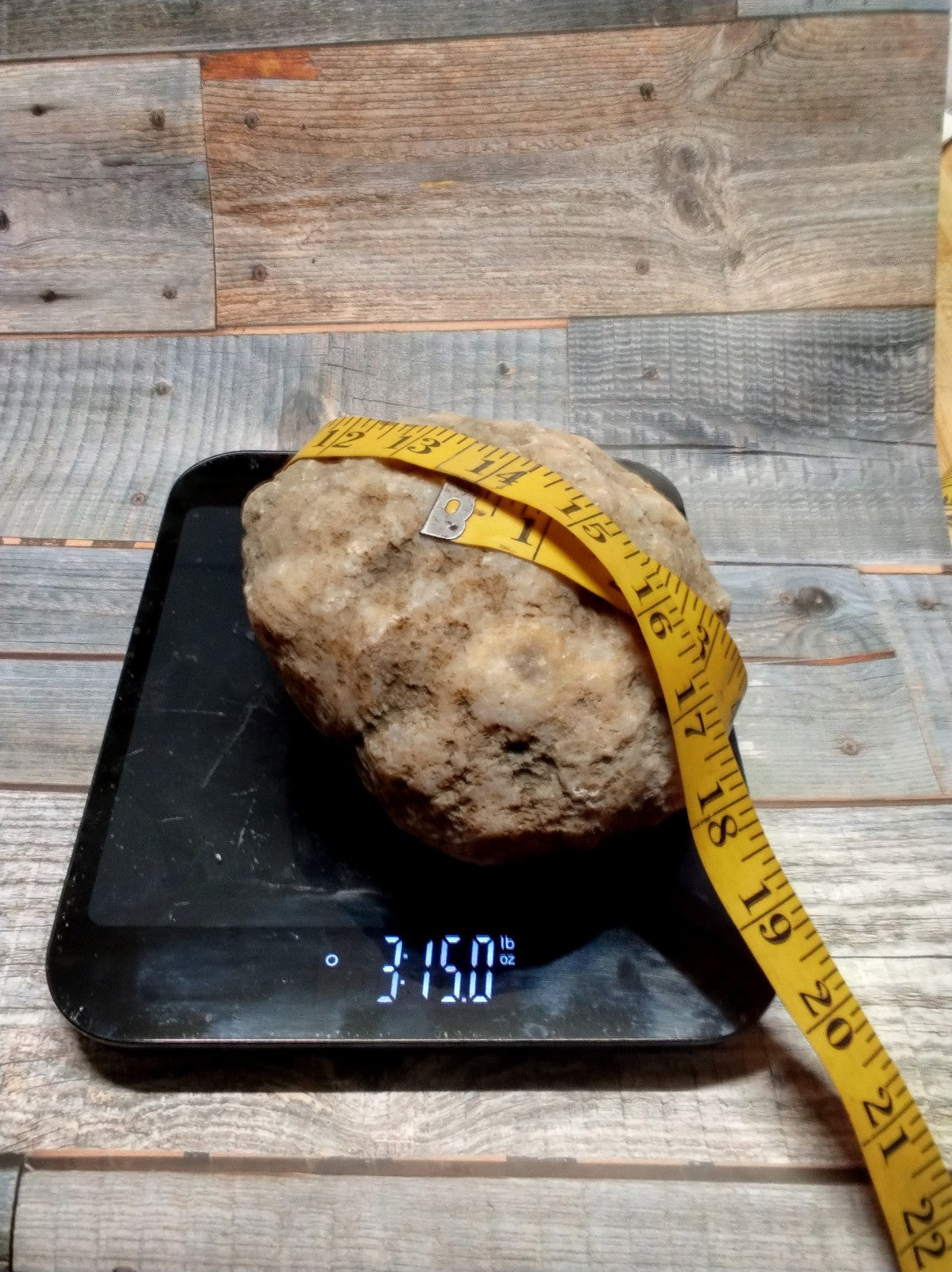 Authentic Kentucky Geode, 6 Inch, Unopened Exact Specimen, Natural Crystal Inside, 3lb – Fishing Creek, KY