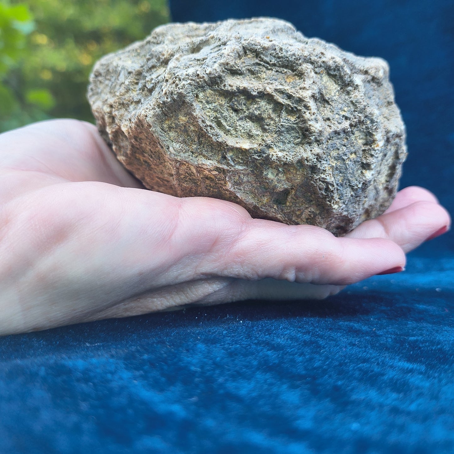2+ lb Large Unopened Kentucky Geode, 3-5 Inch, Break Your Own Quartz Crystal – Fishing Creek, KY