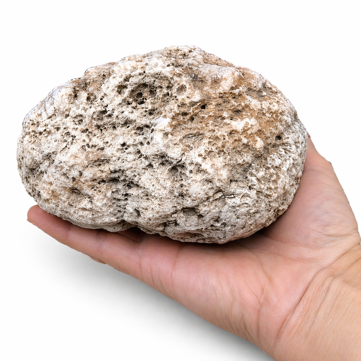 Kentucky Geode Kit for Kids, 1.5-10 lb Lot, Unopened, Break Your Own Quartz Crystals – Hand-Collected at Fishing Creek, KY