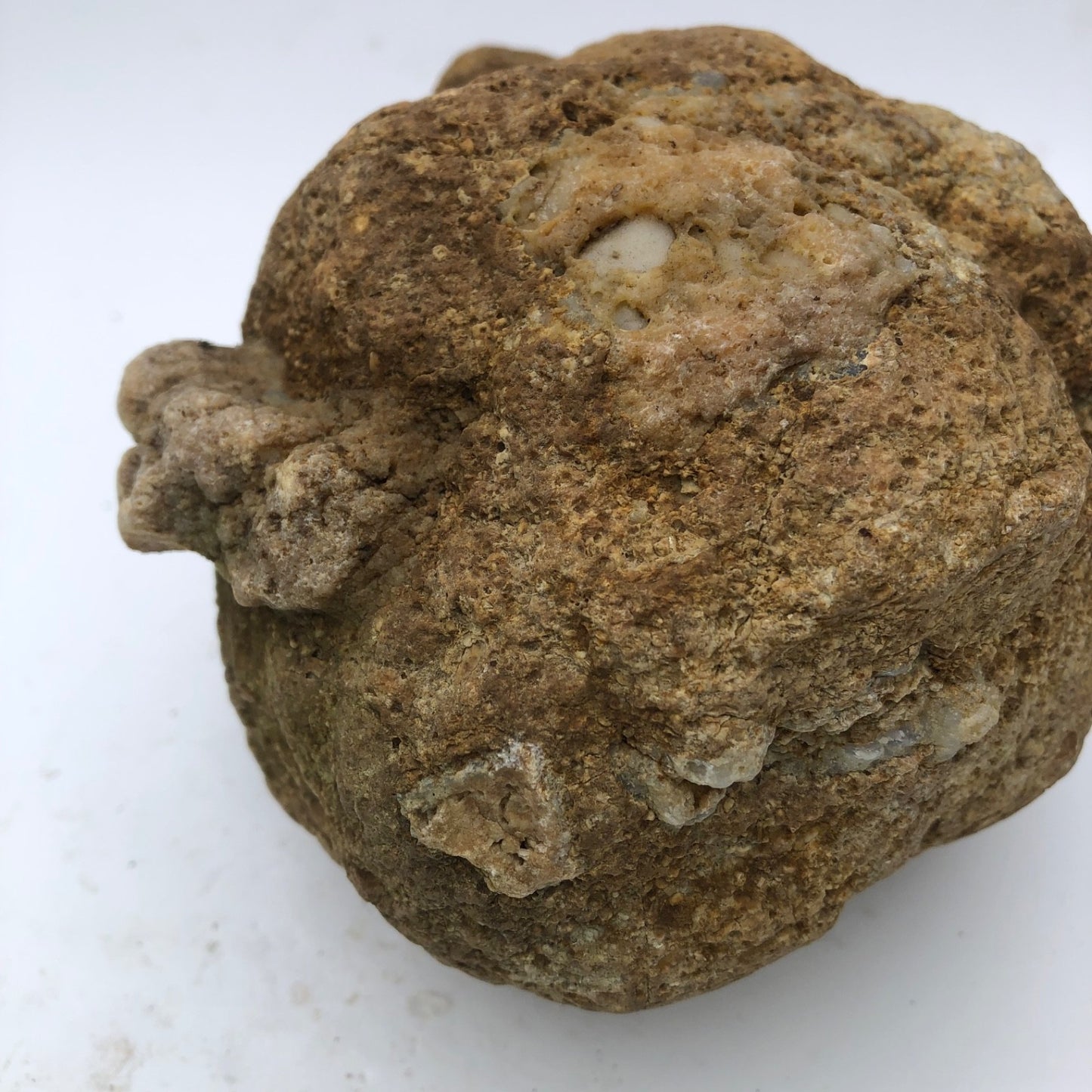 4 lb Unopened Kentucky Geode Rattler, Break Your Own, Hand Picked Natural Quartz – Fishing Creek, KY