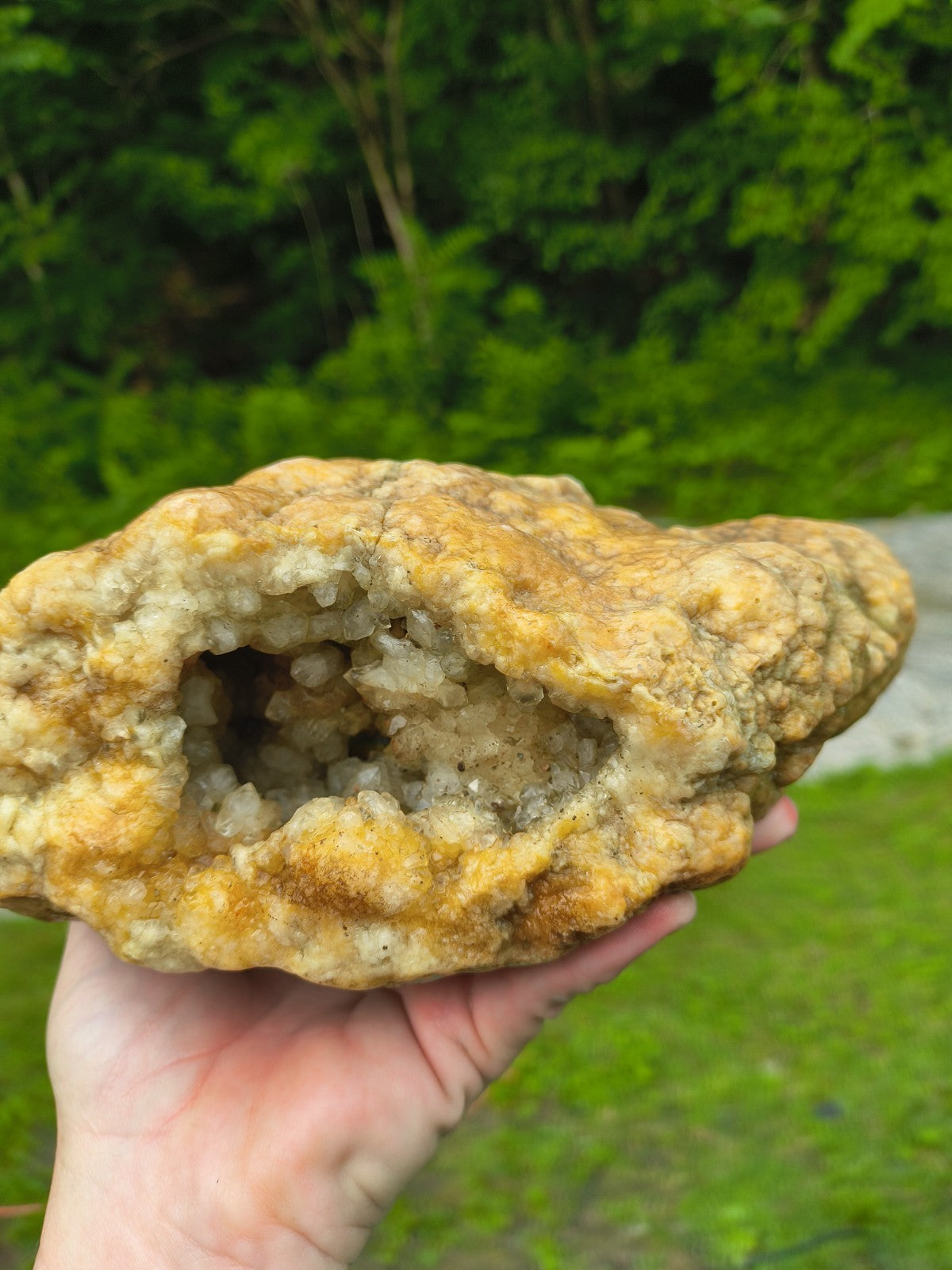 Open Face Kentucky Geode 6.16 lb Druzy Crystal Cavity