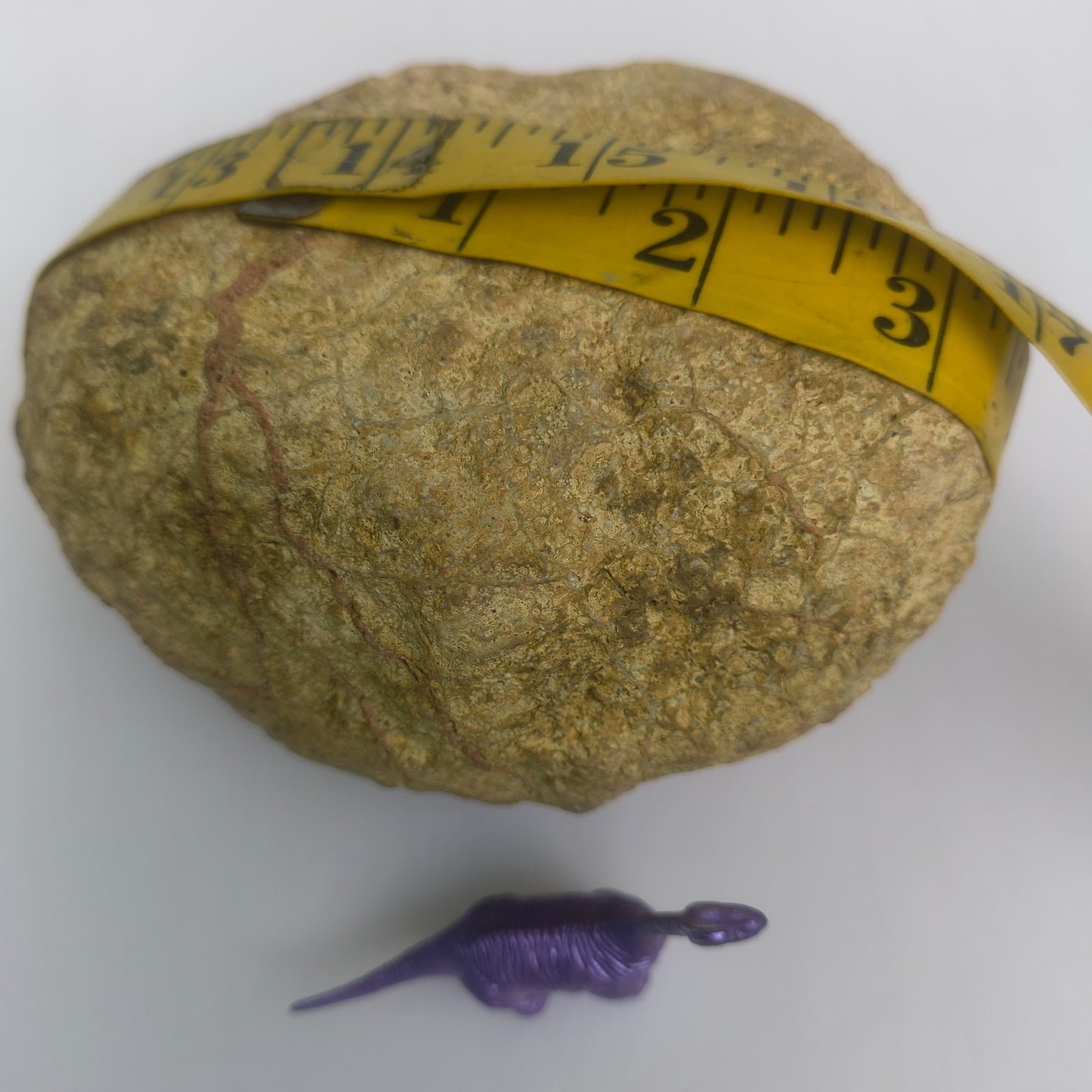 3.25 lb Kentucky Geode, Unopened Exact Specimen, Natural Whole Geode – Fishing Creek, KY