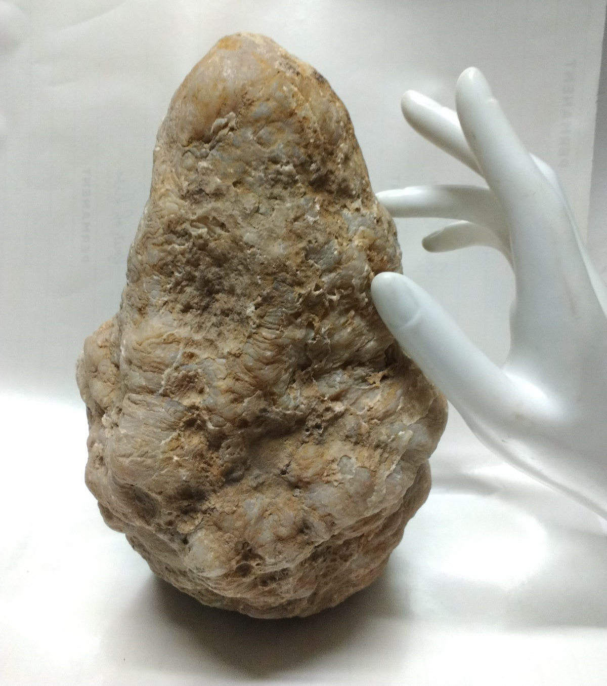 Kentucky Whole Geode, Natural Unopened Crystal Nodule, 7.74 lb, Exact Stone – Fishing Creek, KY