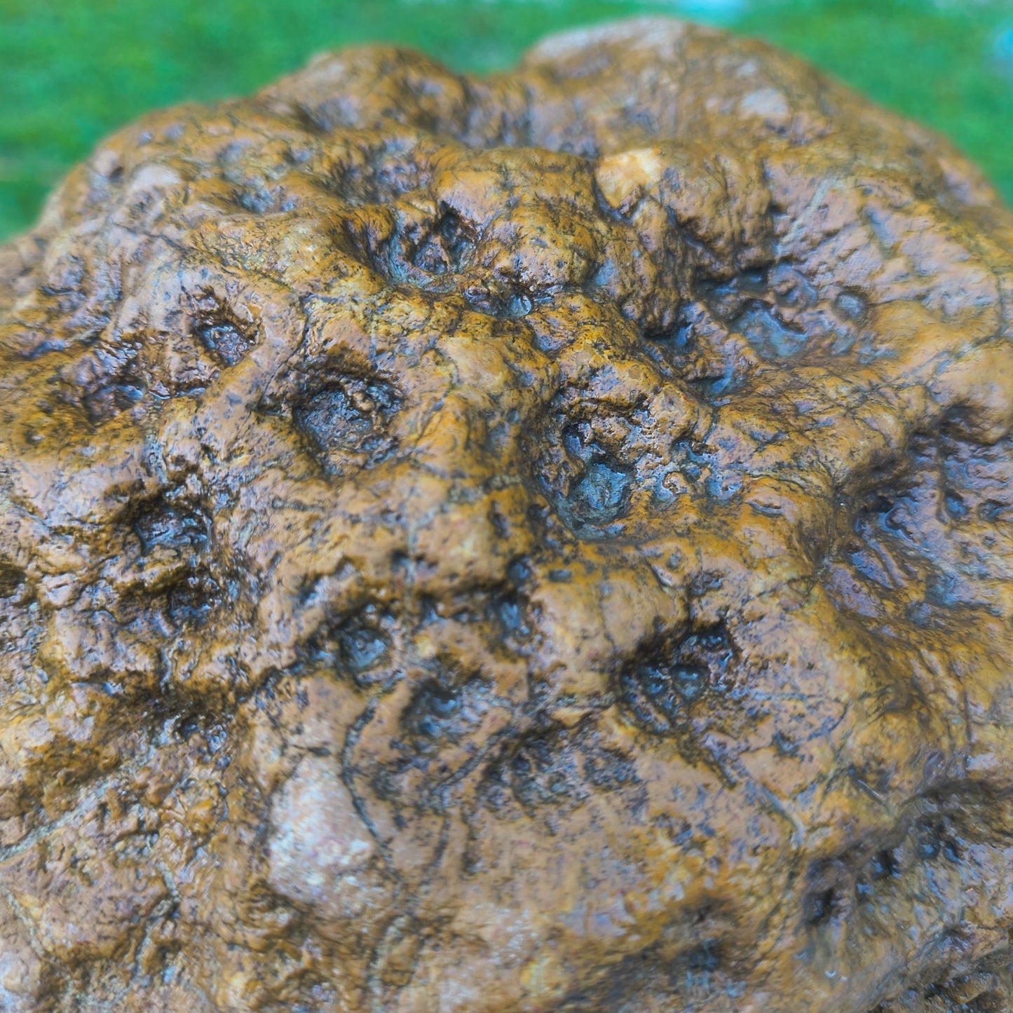 10.07 lb Kentucky Geode, Unopened, Natural Crystal Geode + Bonus – Hand-Collected at Fishing Creek, KY