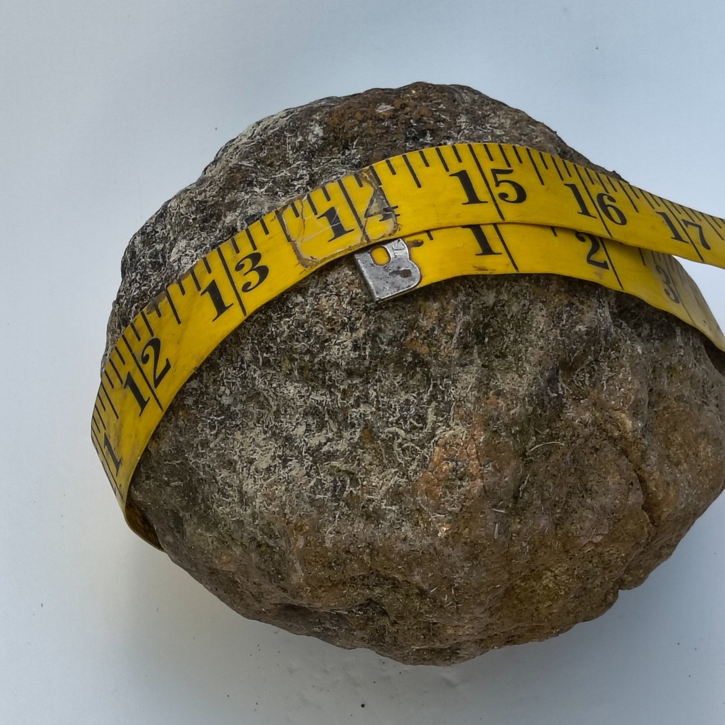 Kentucky Geode, Unopened Natural Quartz Crystal, Crack Your Own, 4lb – Fishing Creek, KY
