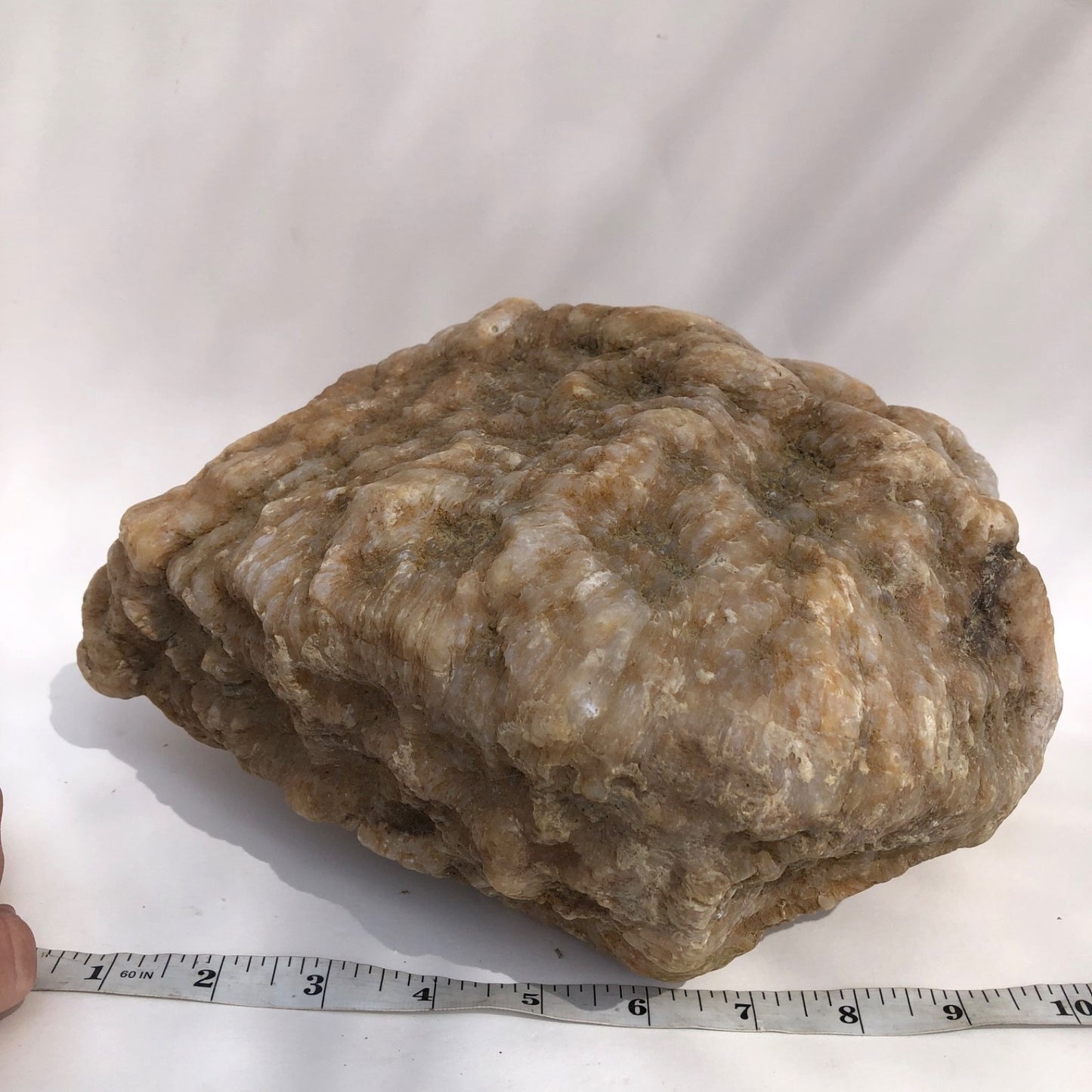 18.44 lb Kentucky Thunder Egg Geode, Lincoln County, Nodular Chalcedony, Uncut – Fishing Creek, KY
