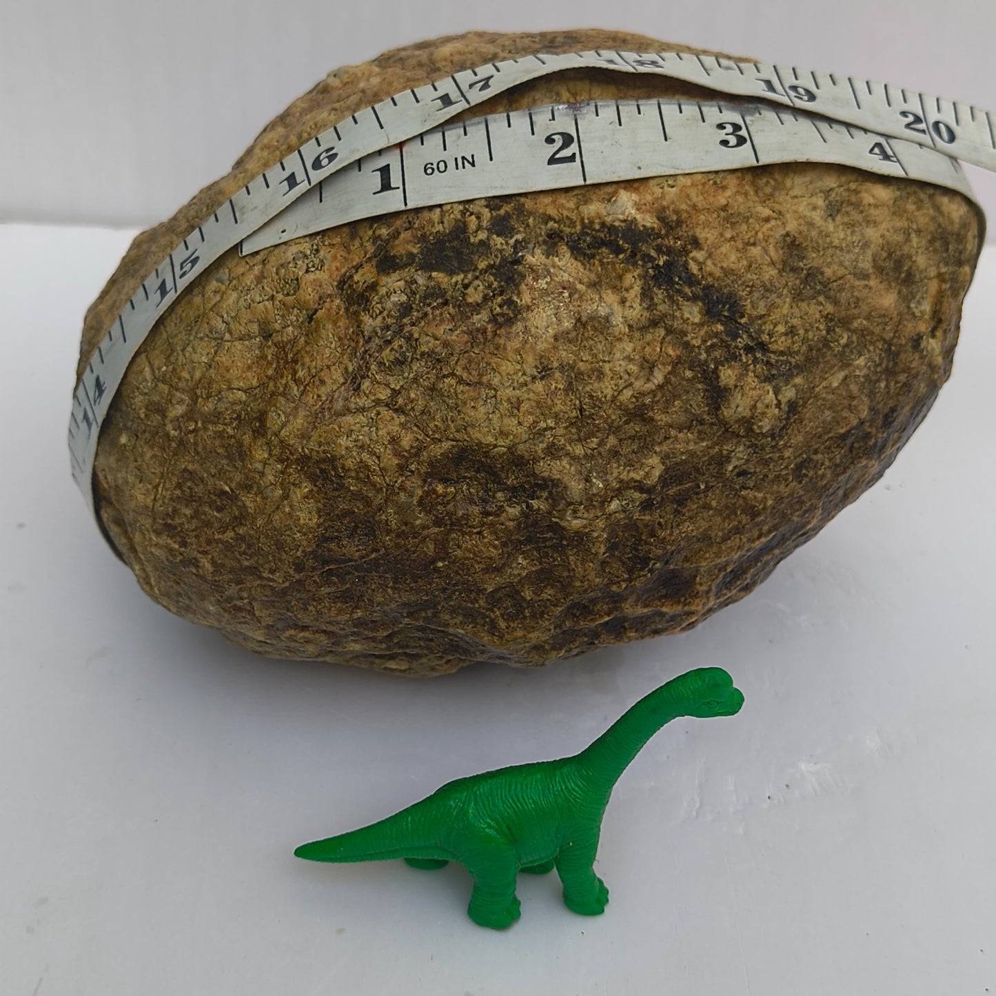 4.44 lb Kentucky Geode, Unopened Exact Specimen, Natural Whole Geode – Fishing Creek, KY