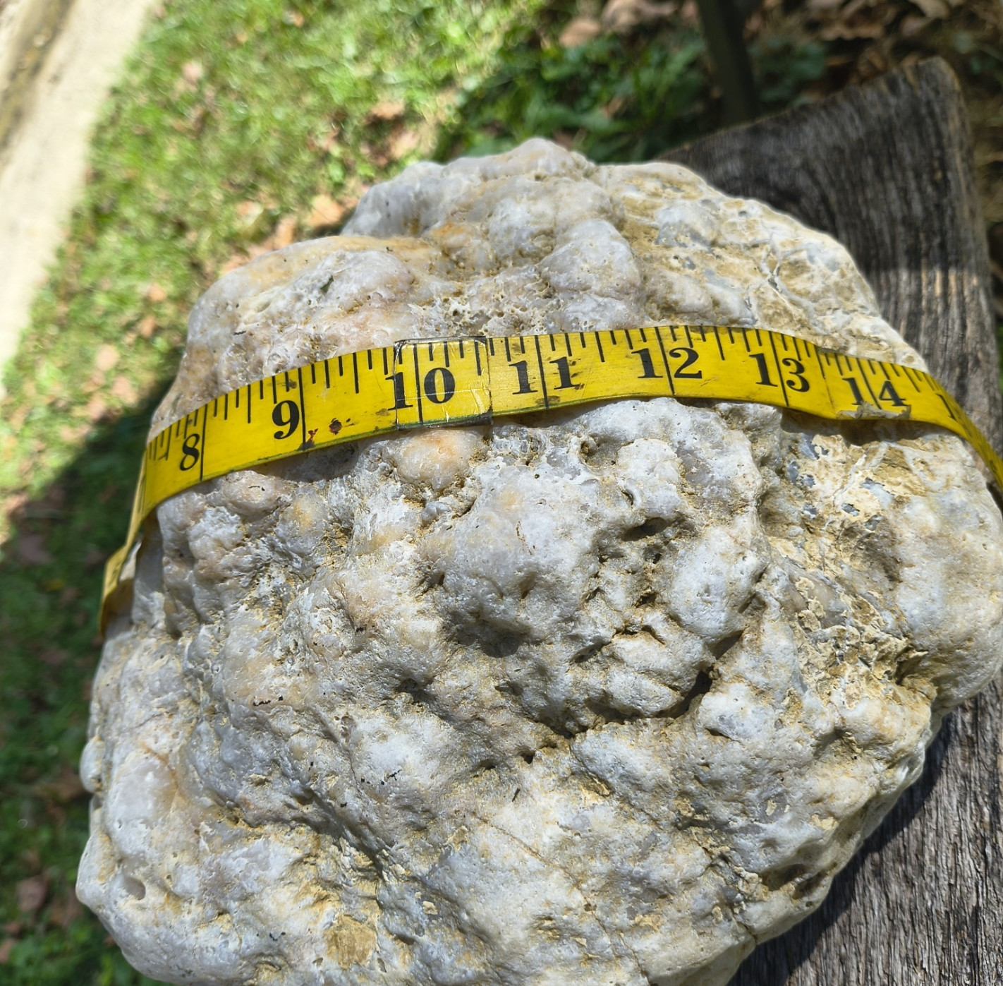 Exact Kentucky Geode, 23.6lb Natural Quartz Crystal Specimen – Fishing Creek, KY