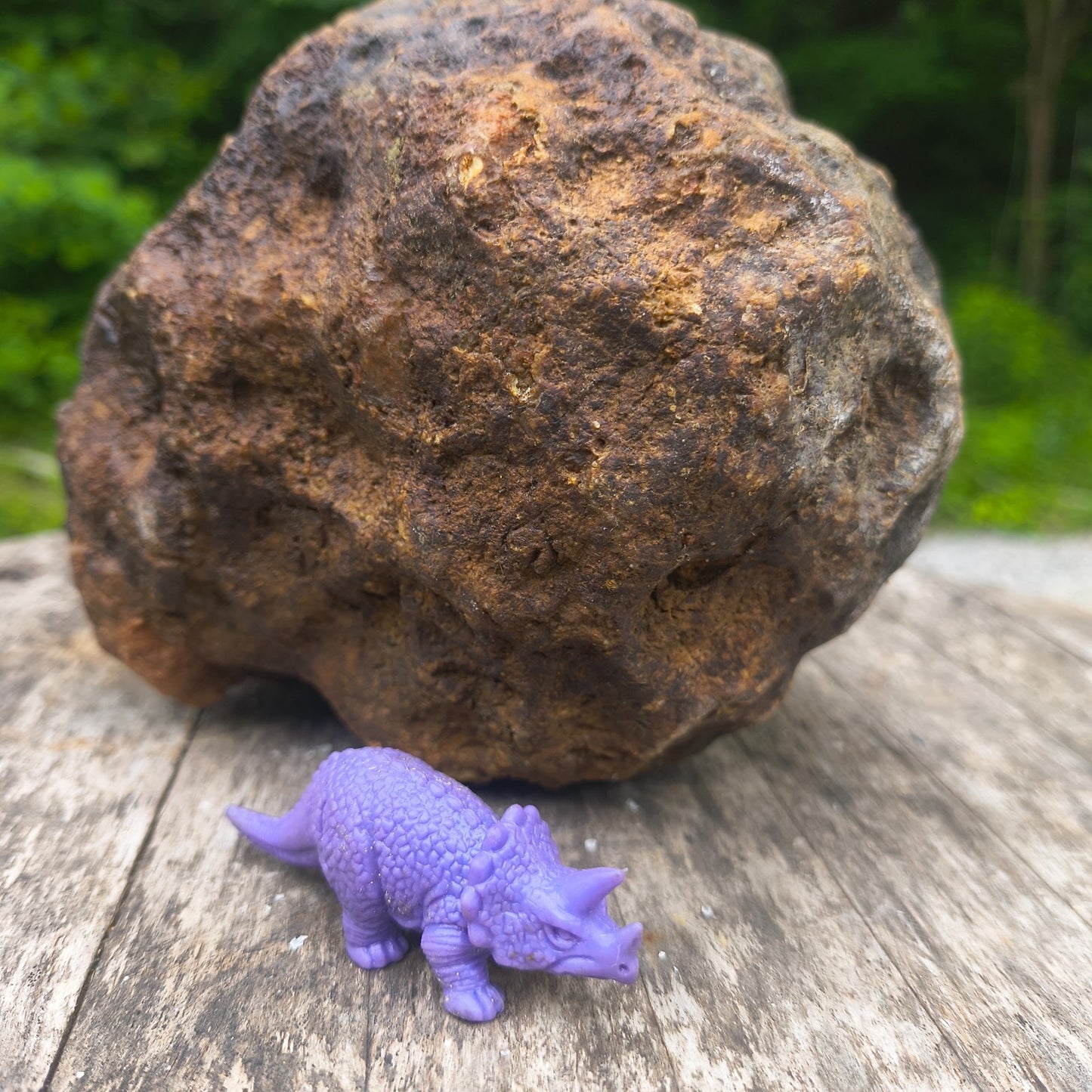 Unopened Kentucky Geode — 5.40 lb, 16" Circ, Bonus Mineral ID Card Included