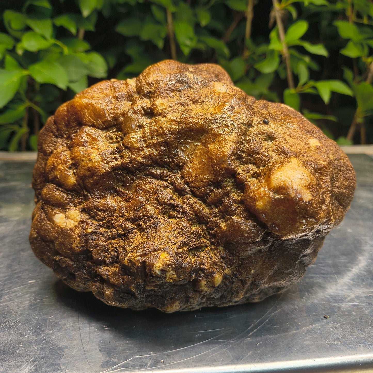 Kentucky Crystal Geode, Natural Druzy Quartz Geode, 4.53 lb Educational Specimen – Fishing Creek, KY