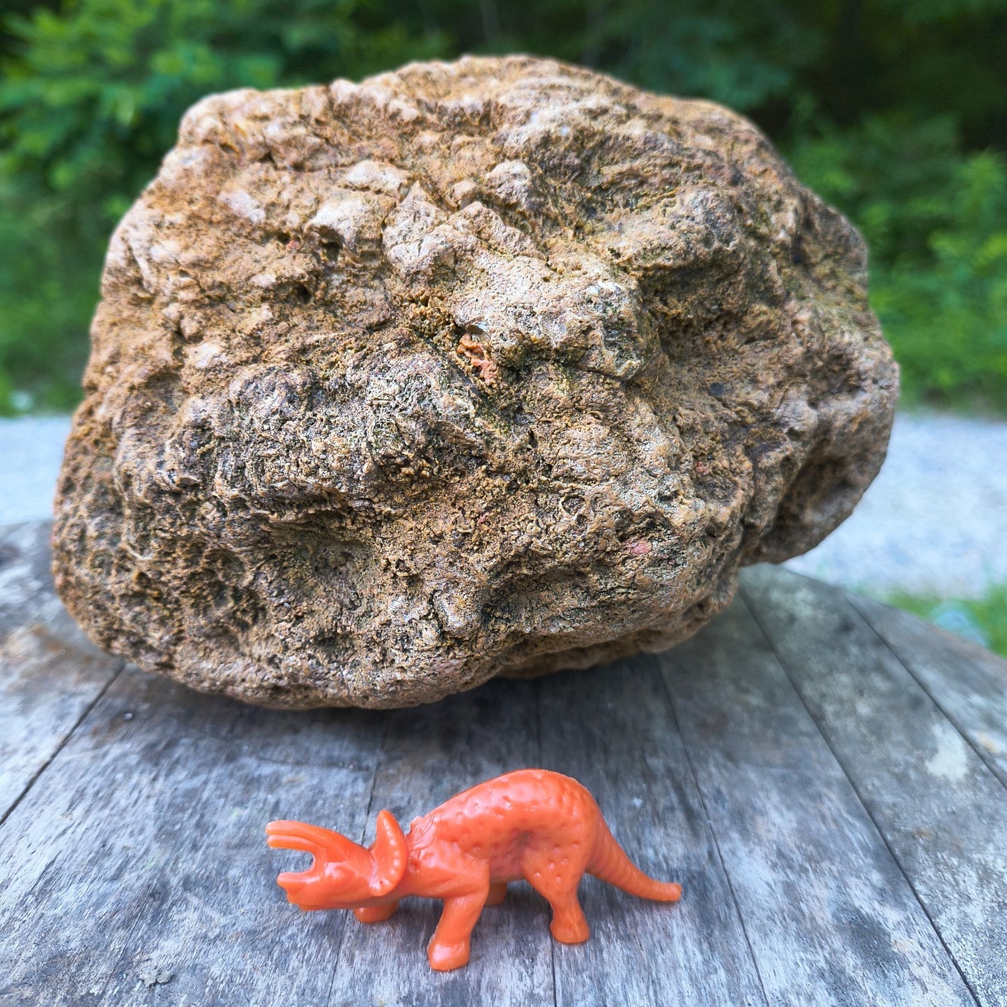 10.13 lb Kentucky Geode, Unopened, Natural Crystal Geode + Bonus – Hand-Collected at Fishing Creek, KY