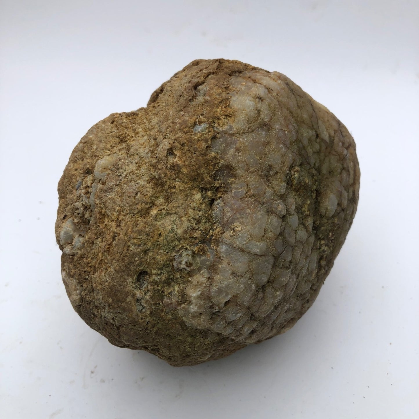 4 lb Unopened Kentucky Geode Rattler, Break Your Own, Hand Picked Natural Quartz – Fishing Creek, KY