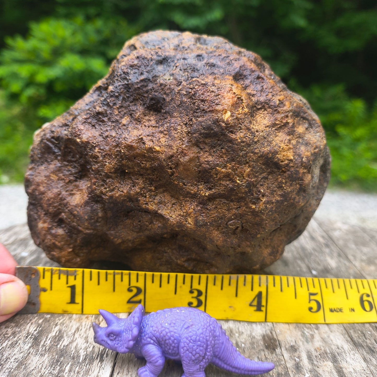 Unopened Kentucky Geode — 5.40 lb, 16" Circ, Bonus Mineral ID Card Included