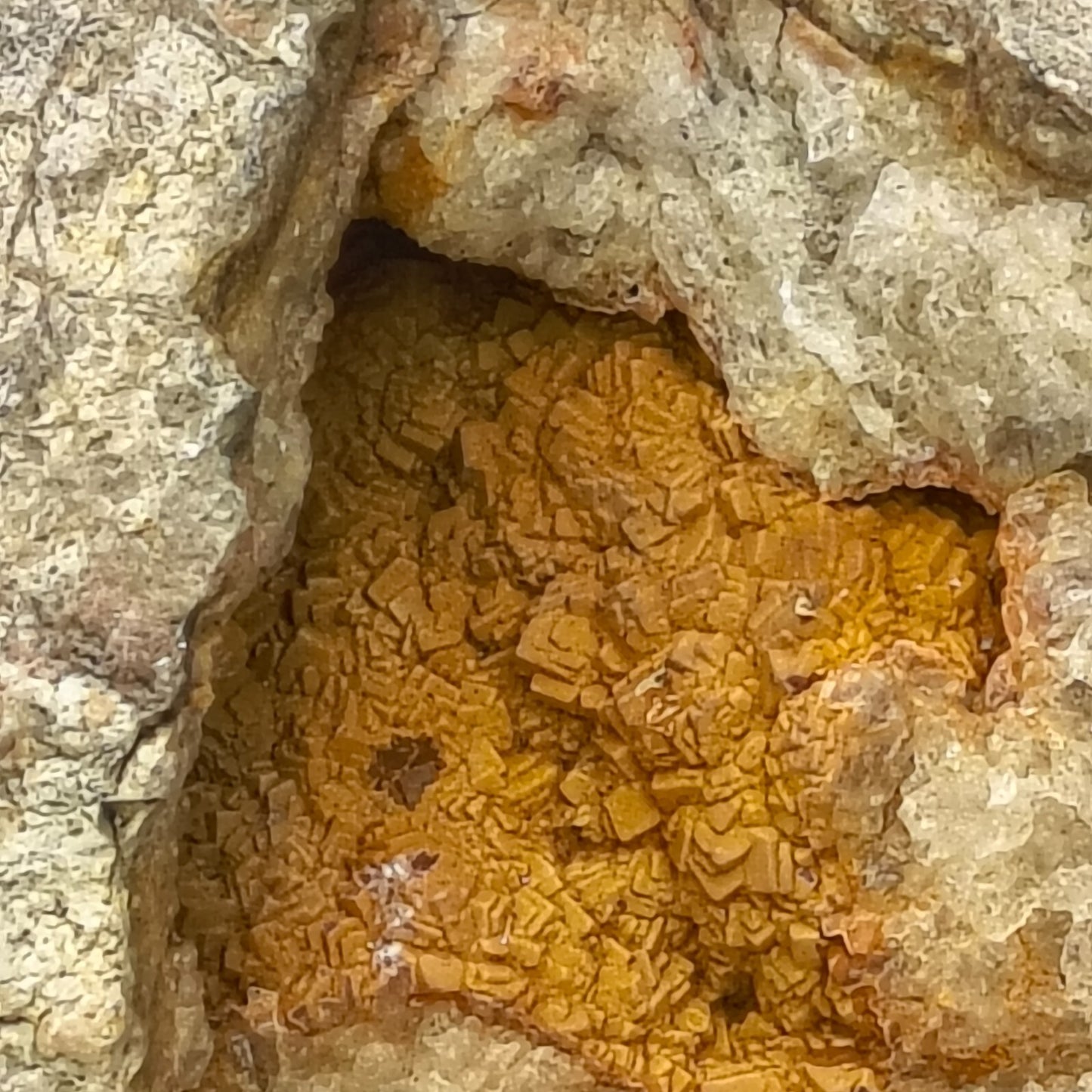 Kentucky Geode Crystal Opening, Natural Rock Specimen, Real Kentucky Geode – Fishing Creek, KY